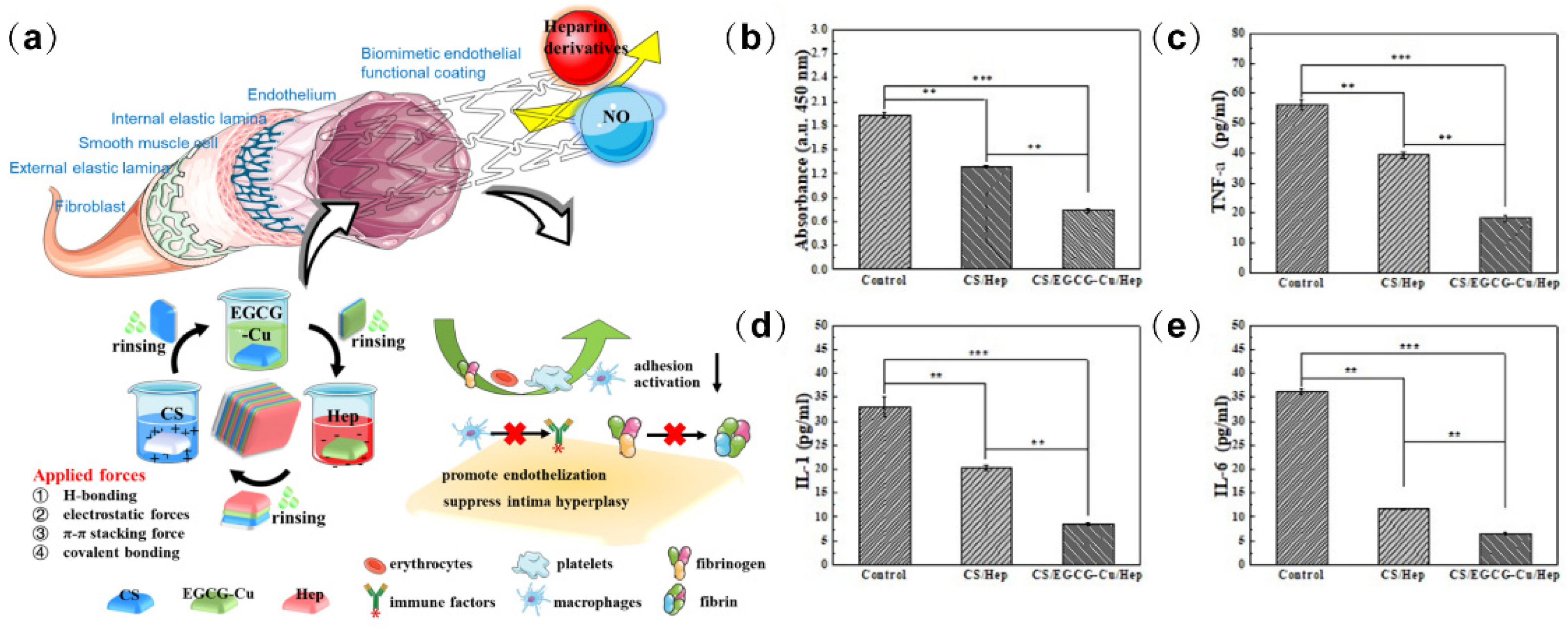Biomolecules 12 01245 g009 550