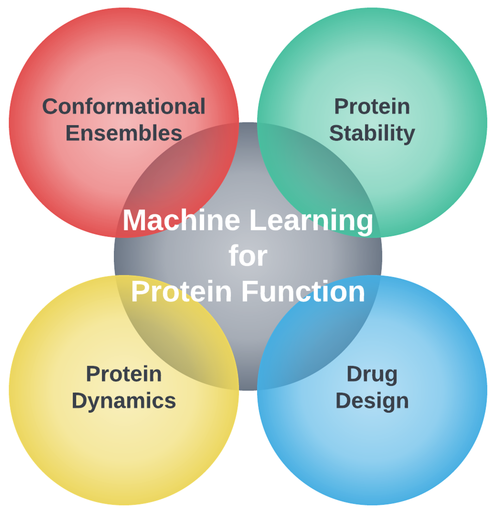 Biomolecules   Free Full Text   Protein Function Analysis through