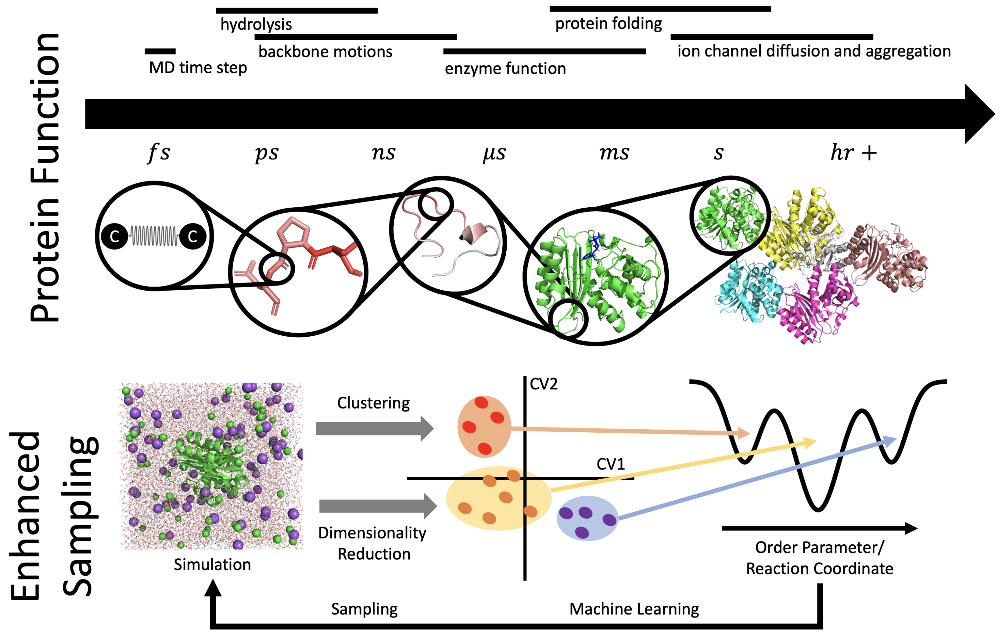 Biomolecules 12 01246 g004 Biomolecules 12 01246 g004