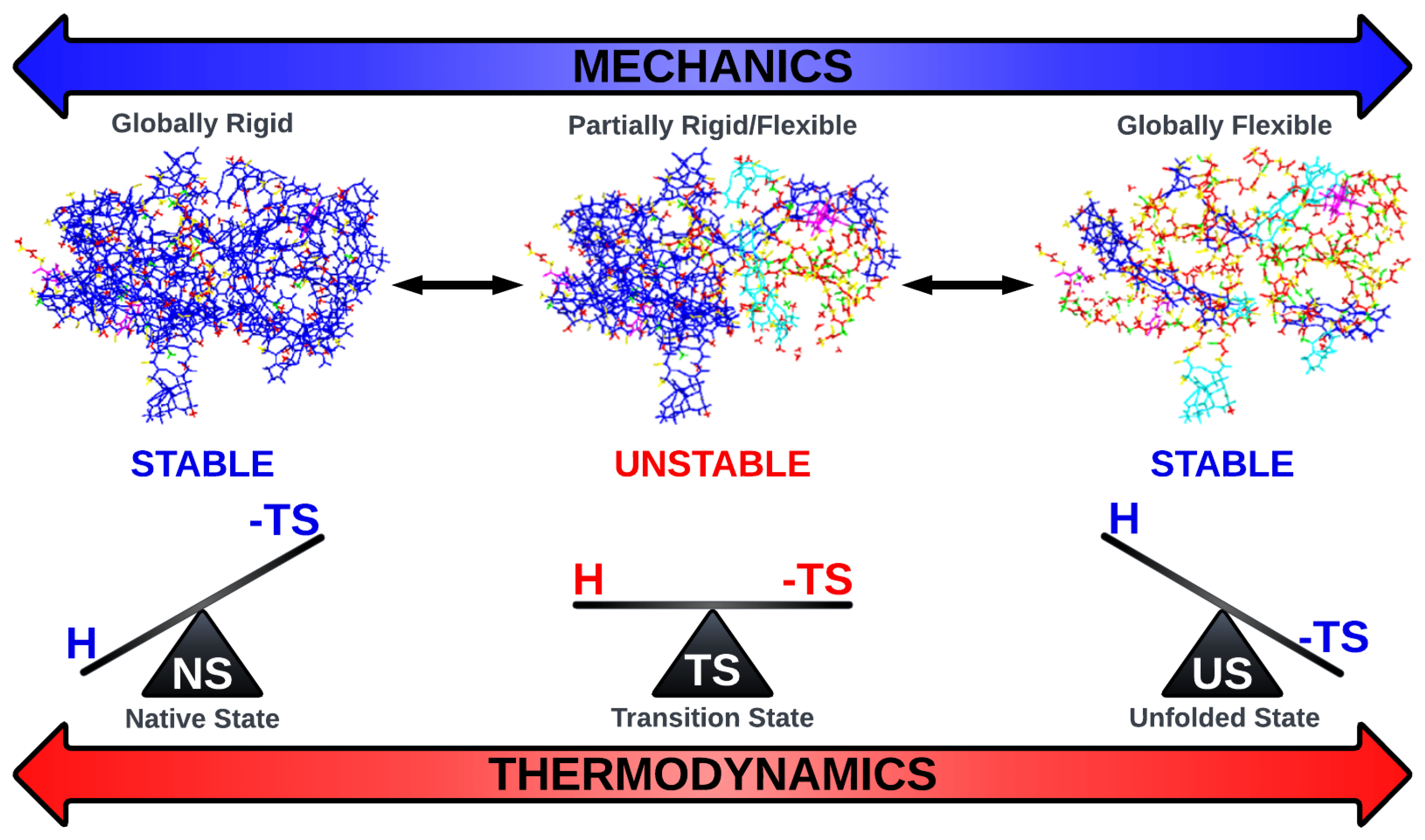 Biomolecules 12 01246 g005 Biomolecules 12 01246 g005