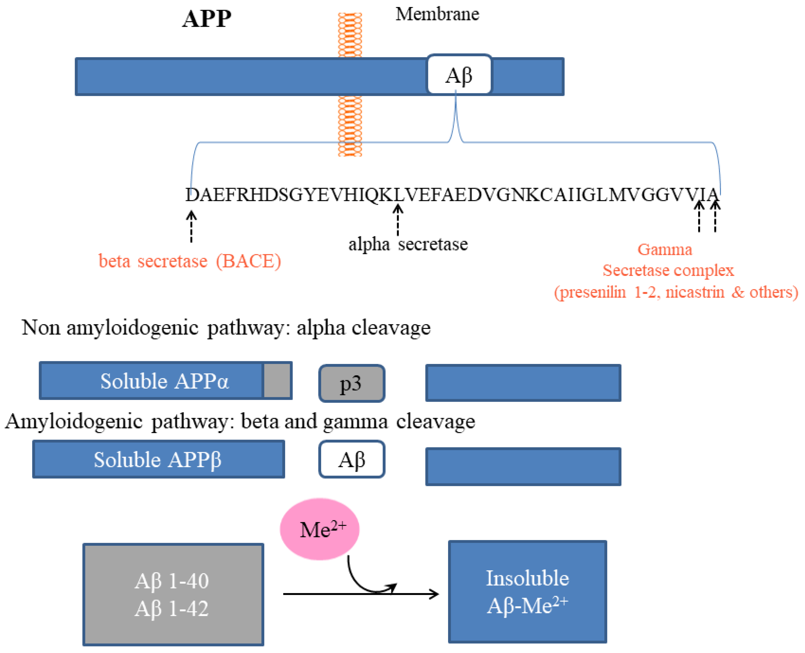 Biomolecules 12 01248 g005
