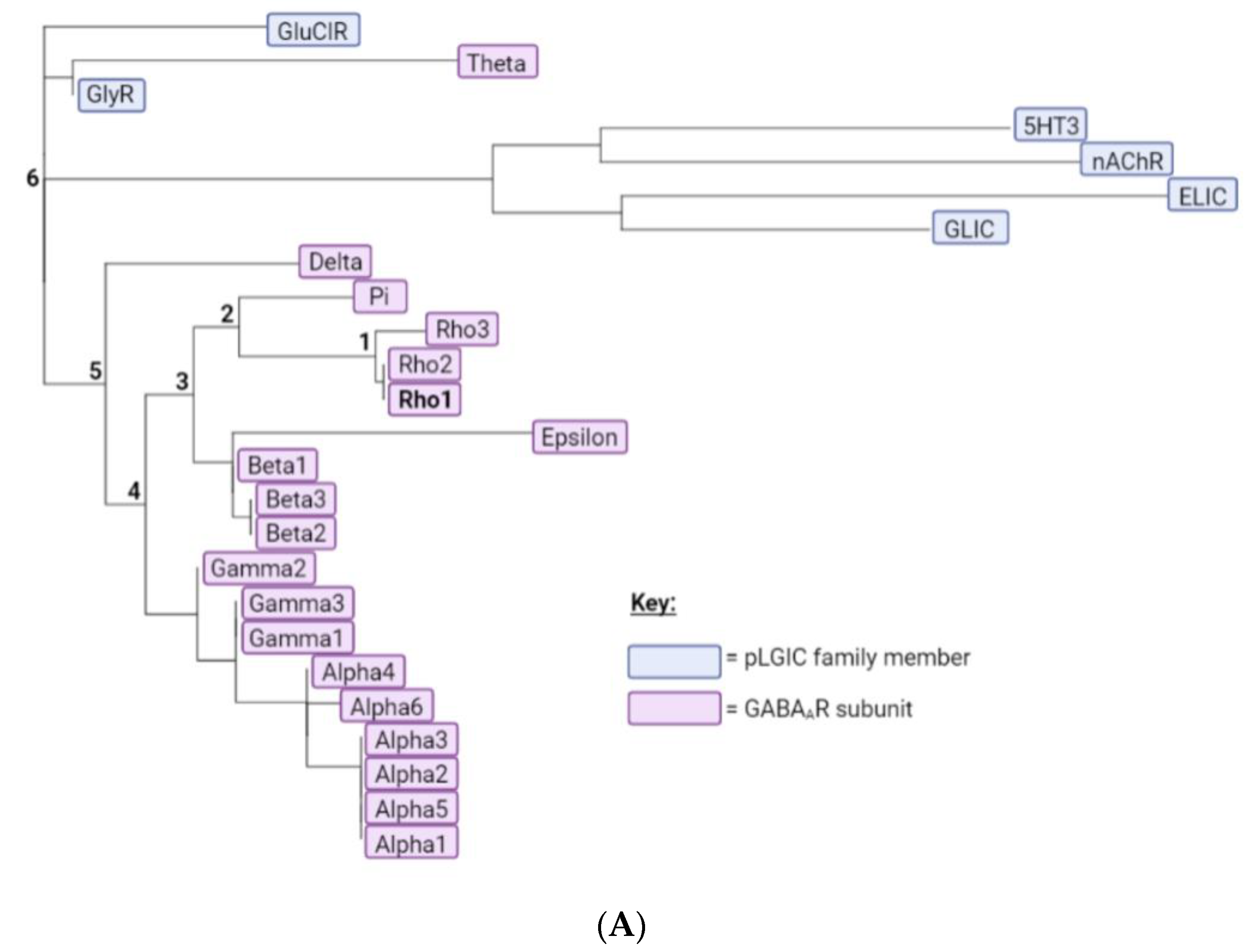 Biomolecules 12 01251 g002a 550
