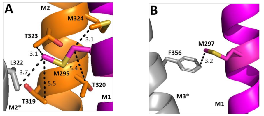 Biomolecules 12 01251 g007 550