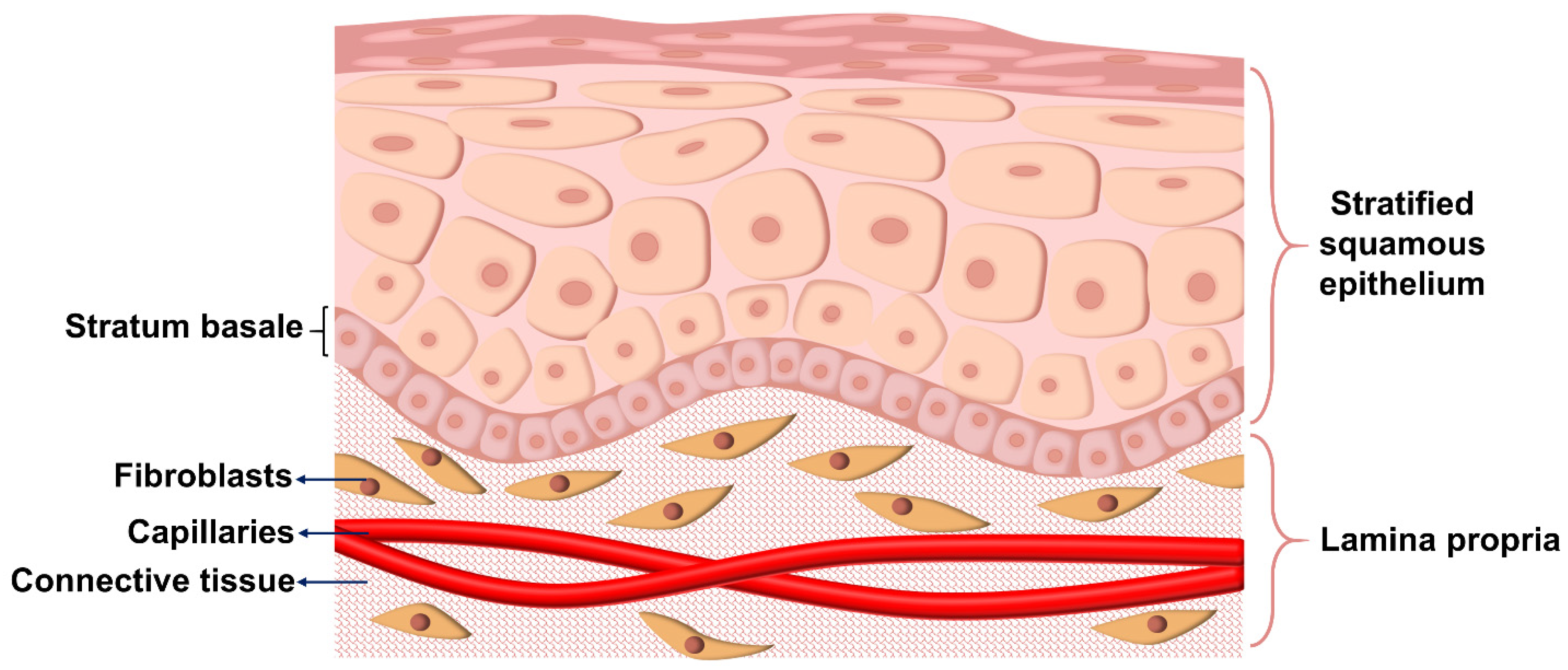 Biomolecules 12 01254 g003 550