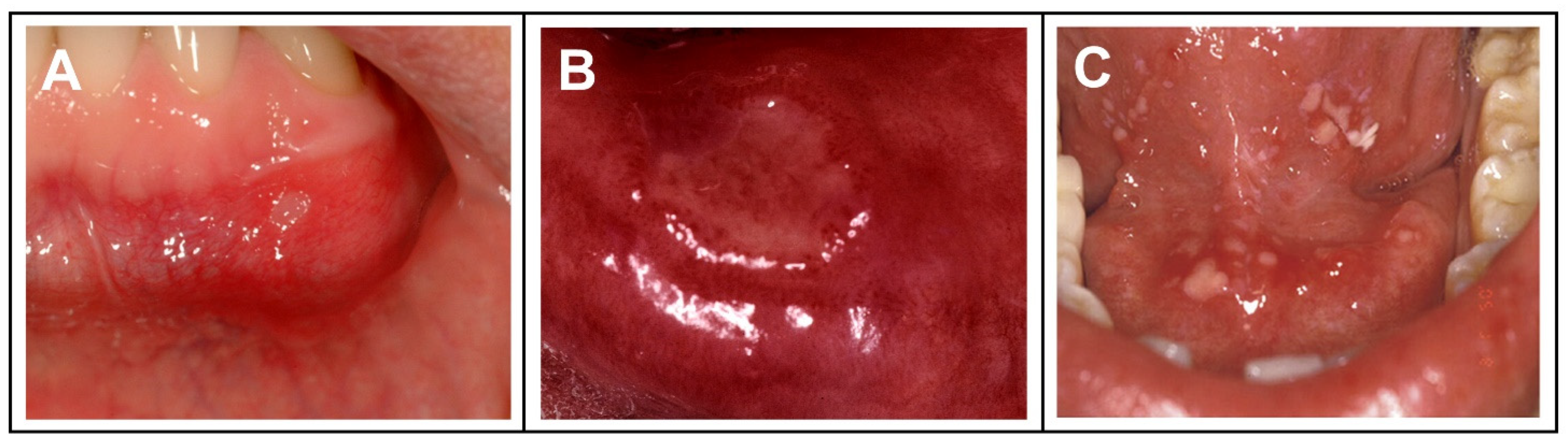 Biomolecules 12 01254 g004 550