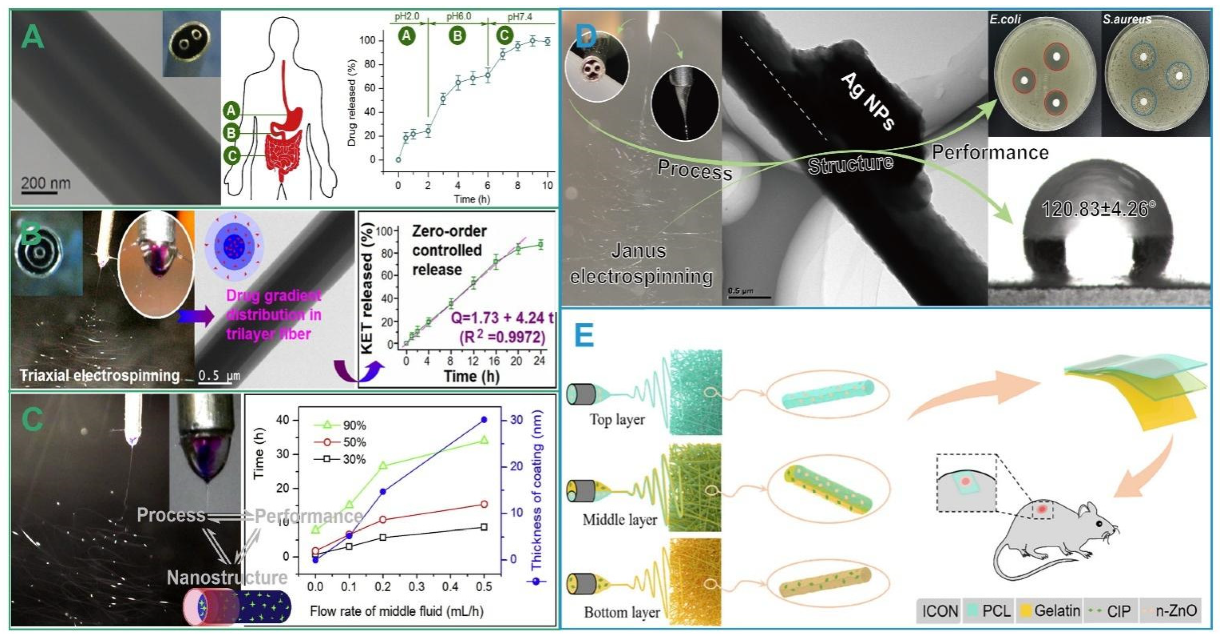 Biomolecules 12 01254 g008 550