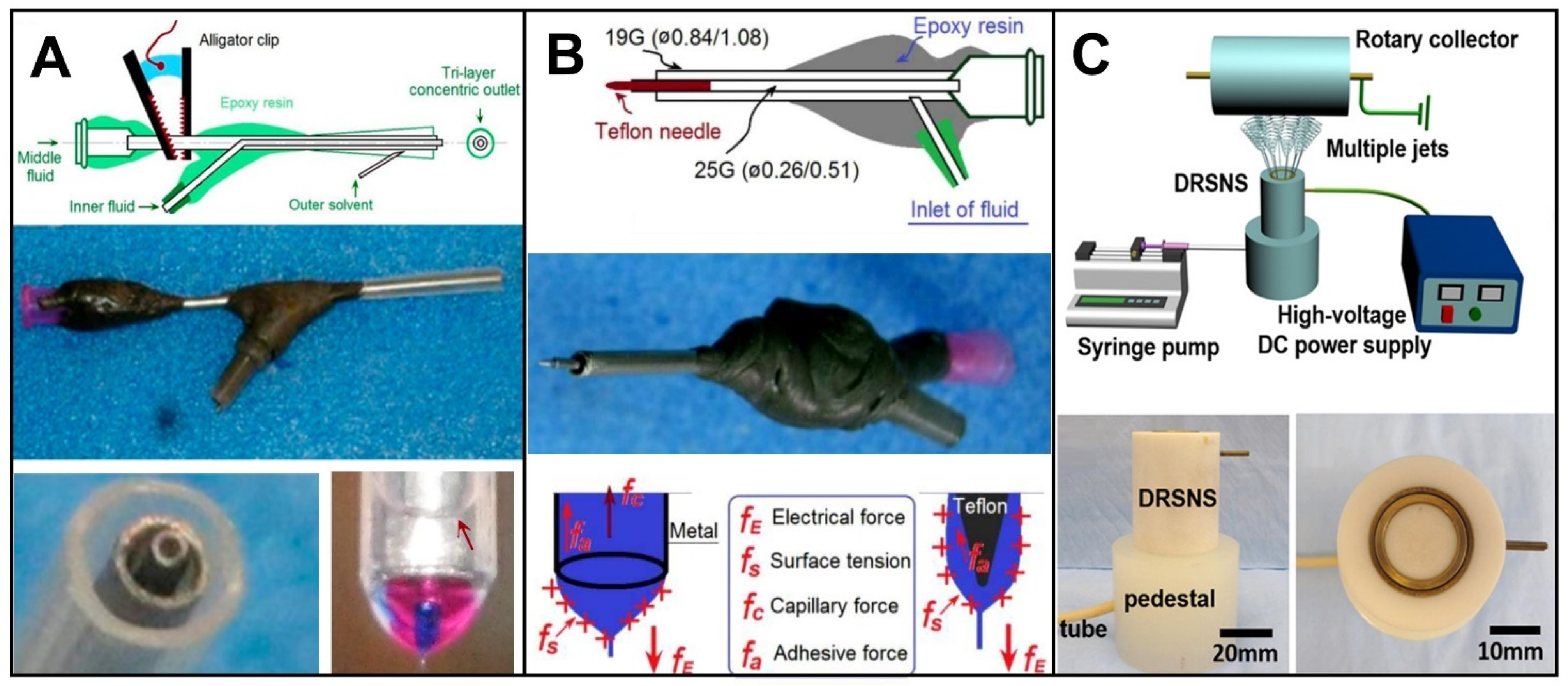 Biomolecules 12 01254 g009 550