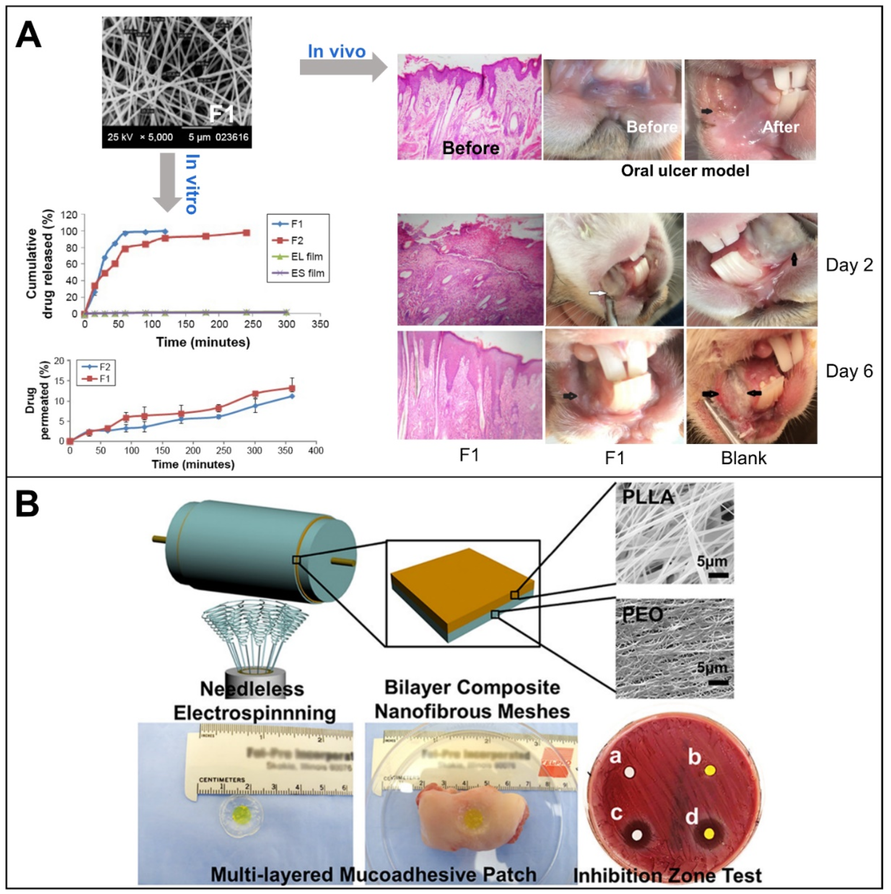 Biomolecules 12 01254 g011 550