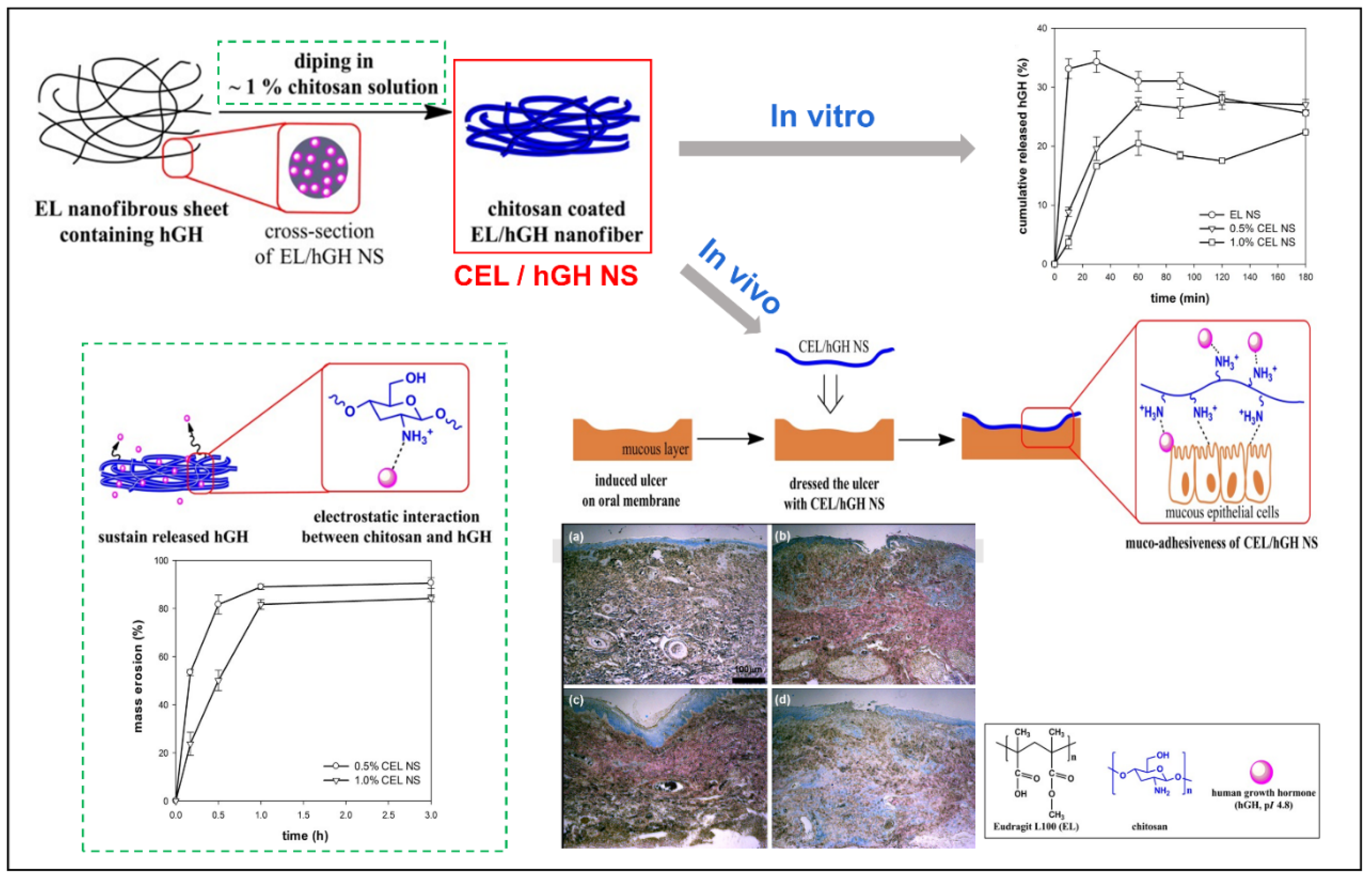Biomolecules 12 01254 g012 550
