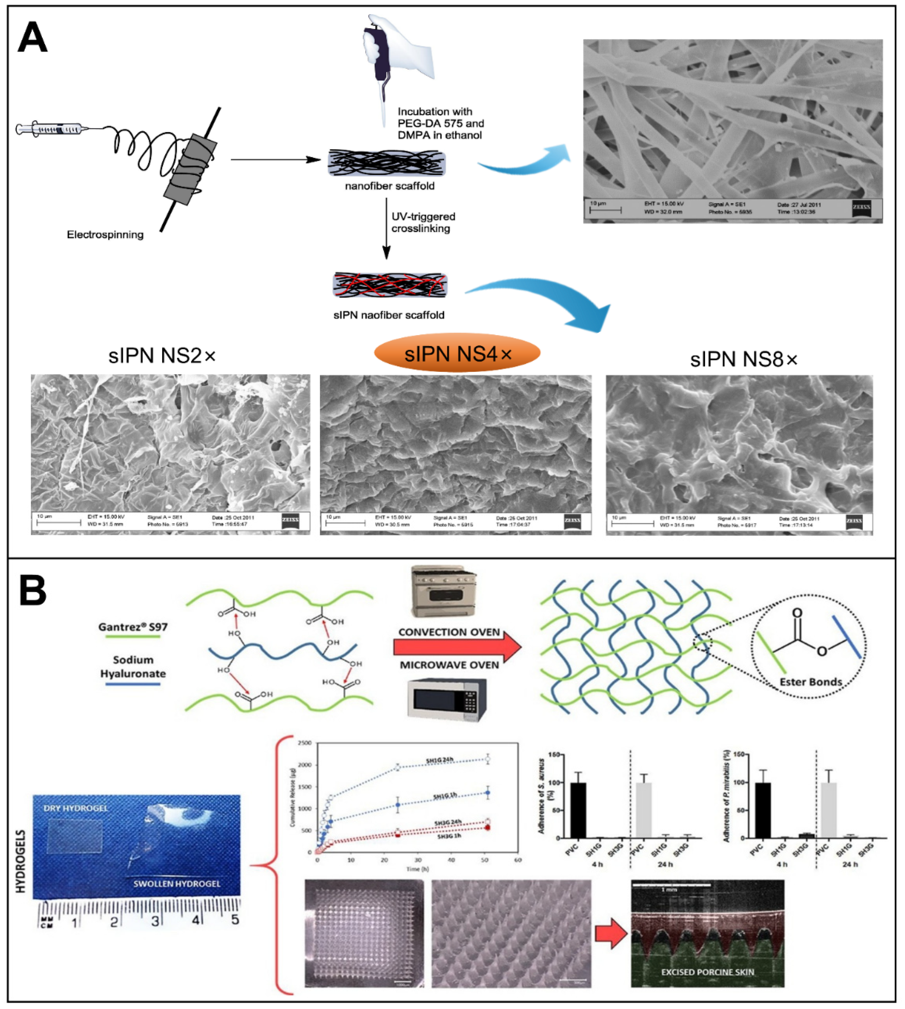 Biomolecules 12 01254 g014 550