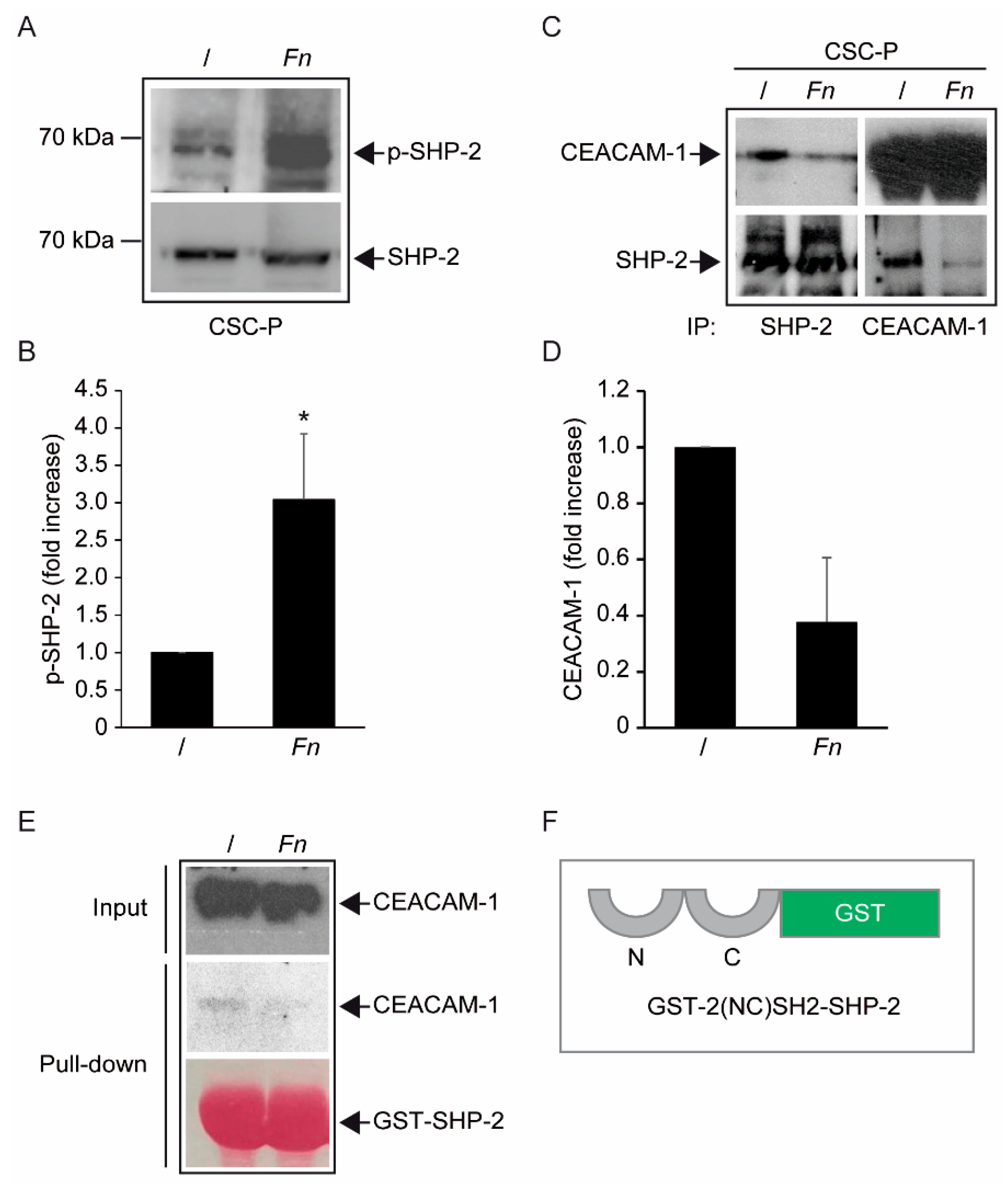 Biomolecules 12 01256 g005