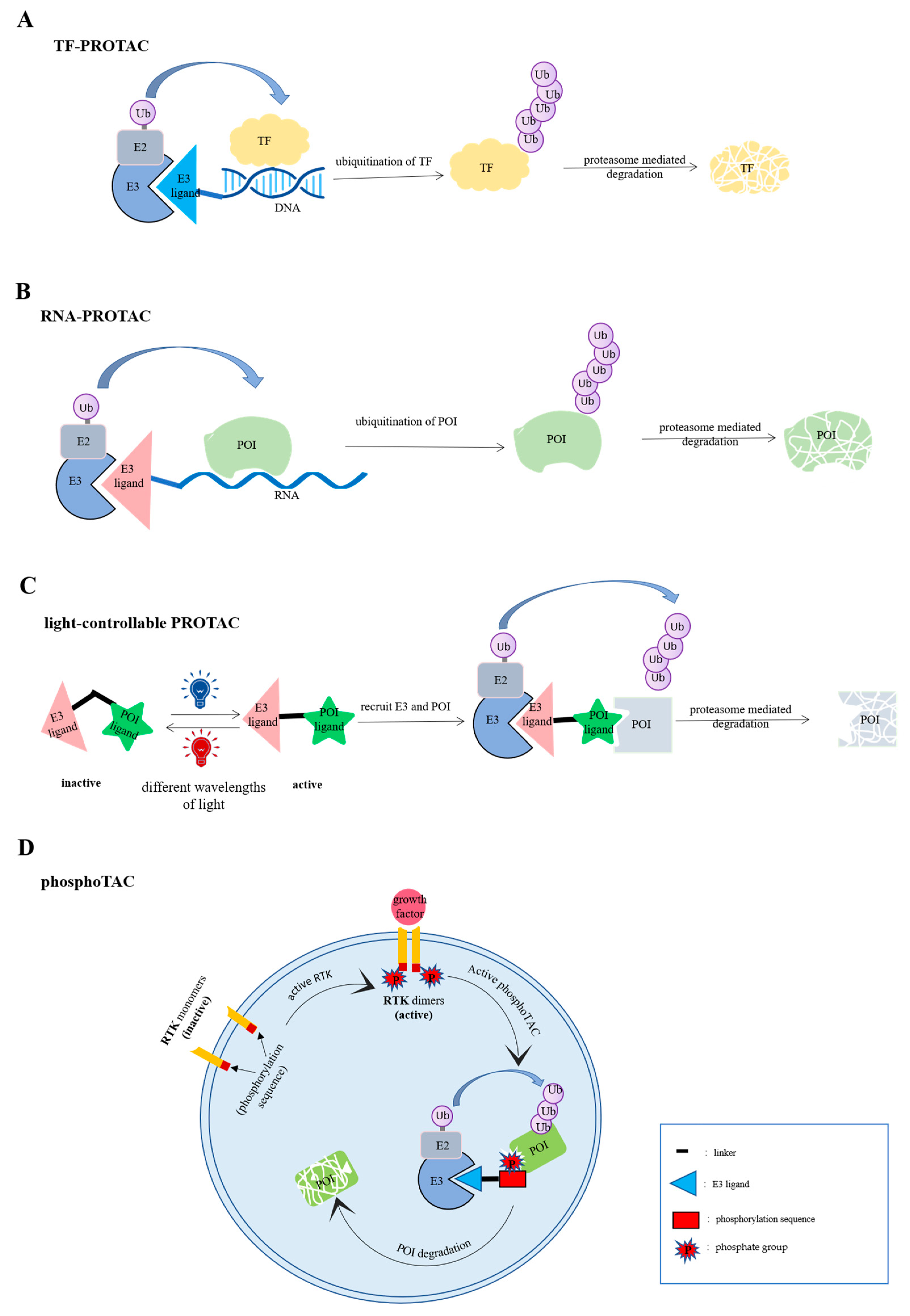 Biomolecules 12 01257 g002 550