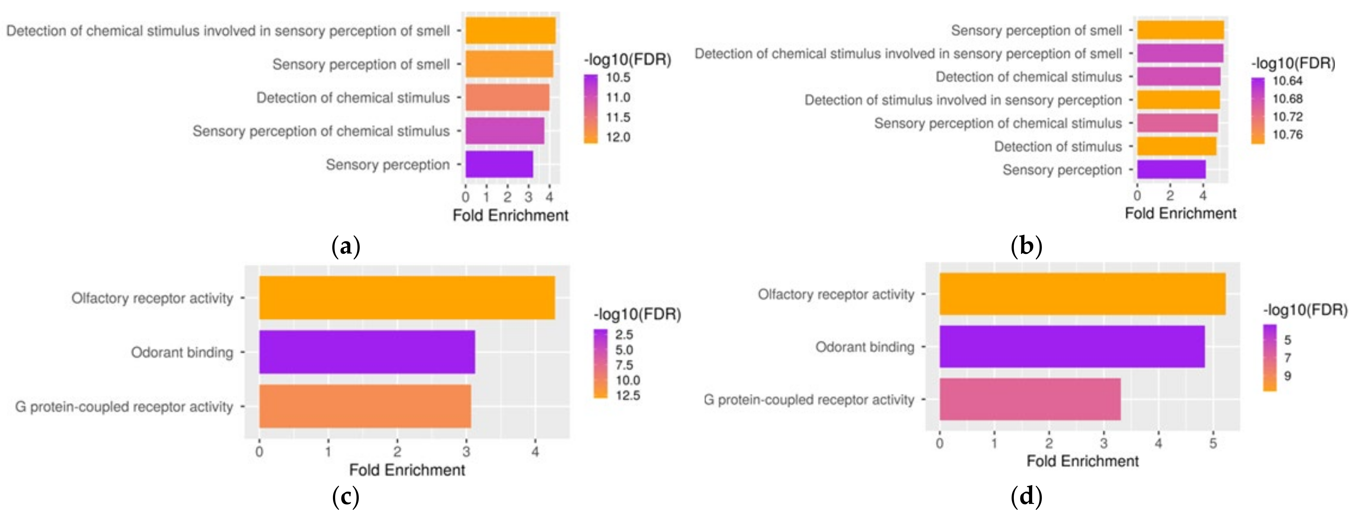 Biomolecules 12 01259 g004 Biomolecules 12 01259 g004