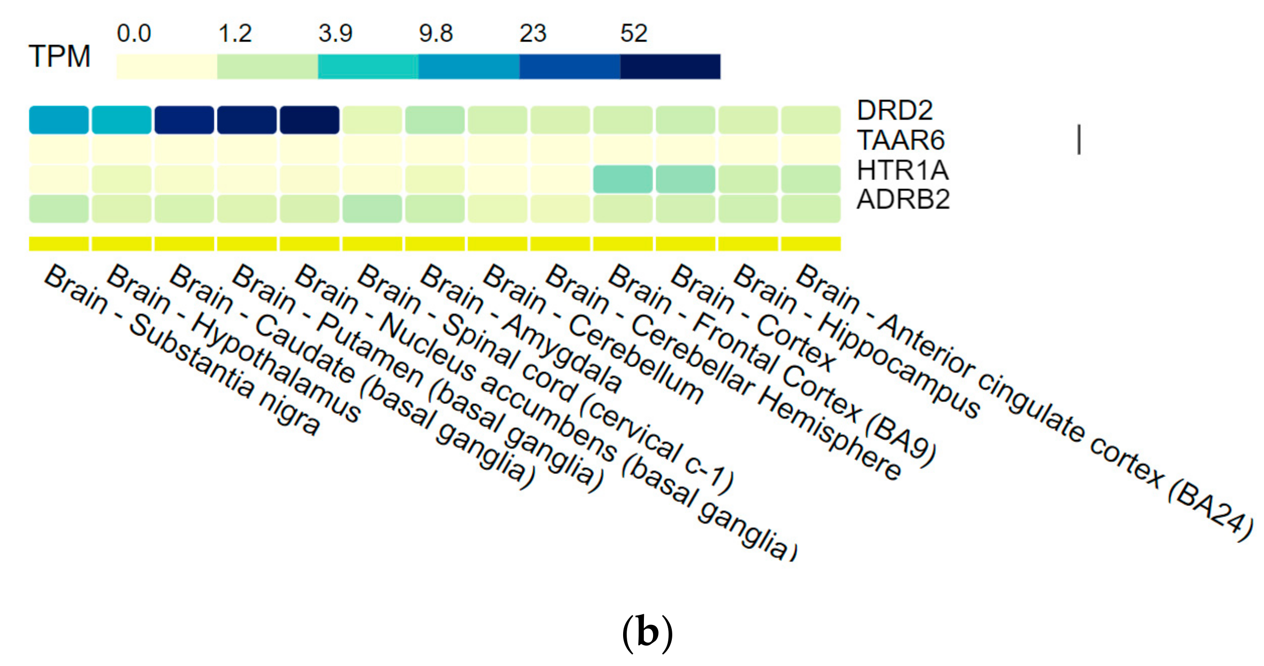 Biomolecules 12 01259 g005b Biomolecules 12 01259 g005b