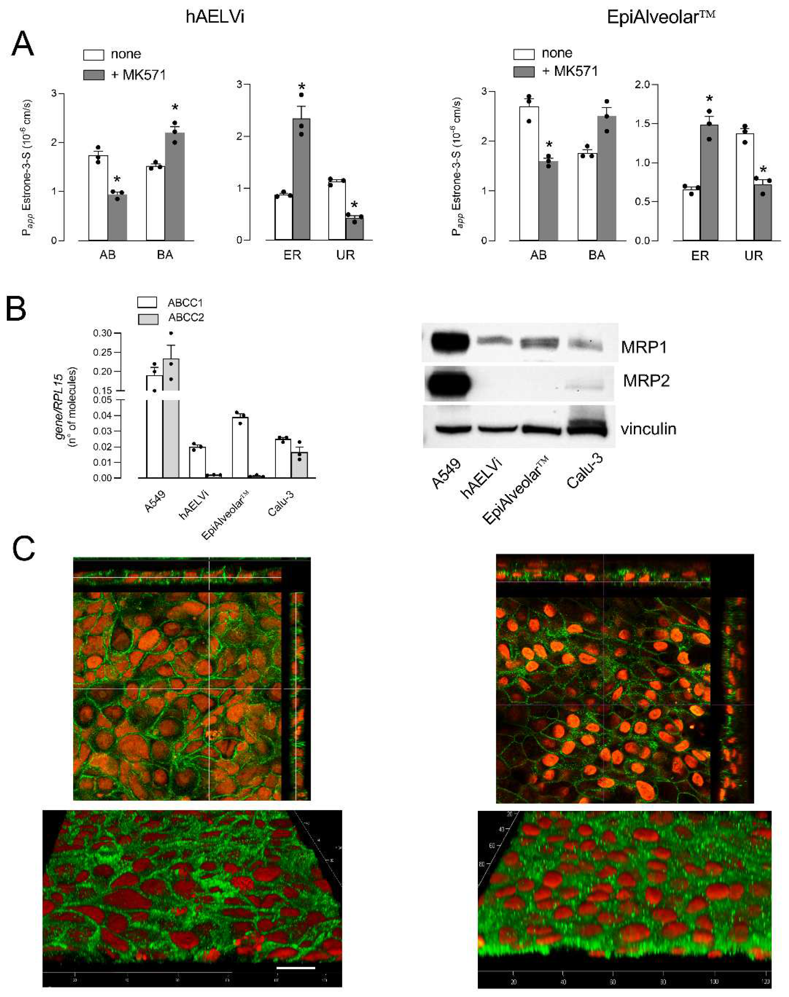 Biomolecules 12 01260 g004