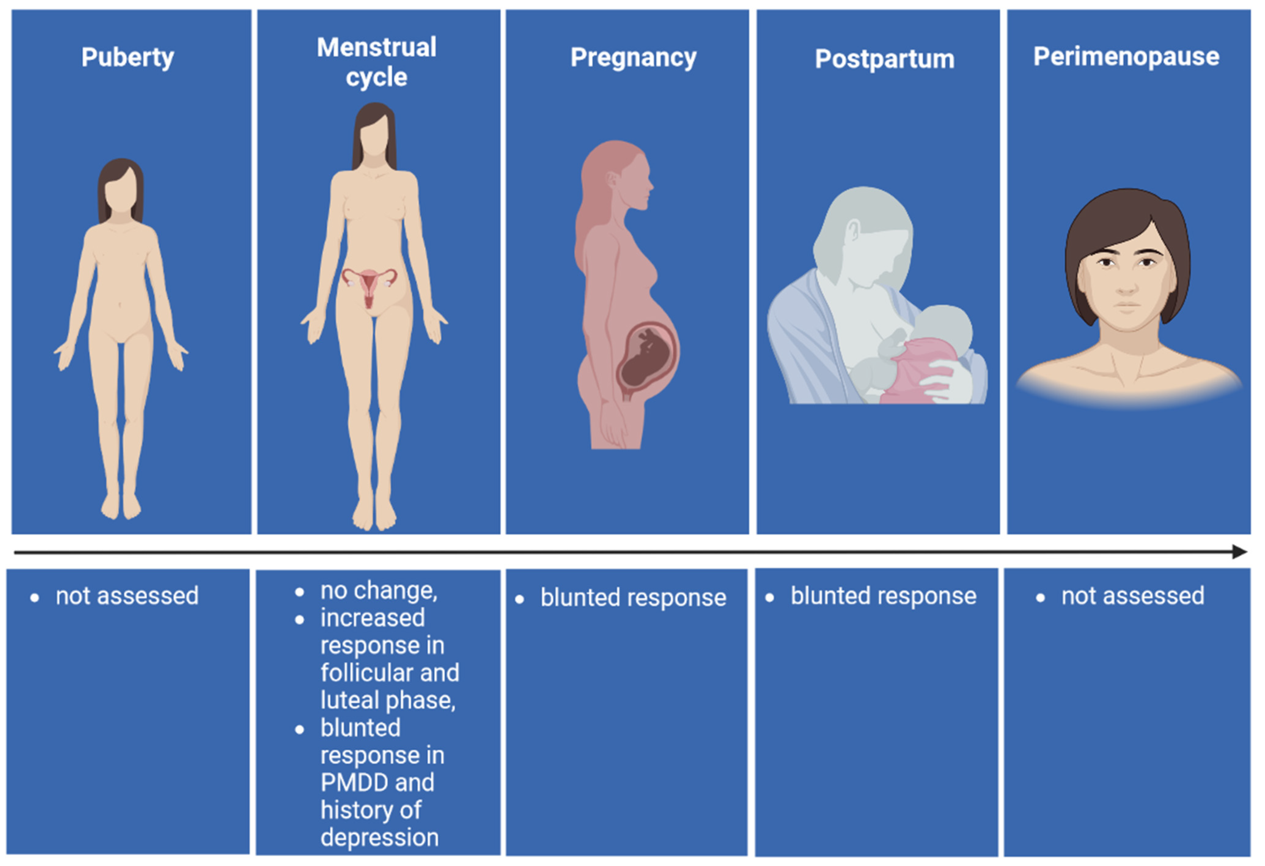 Biomolecules 12 01262 g001