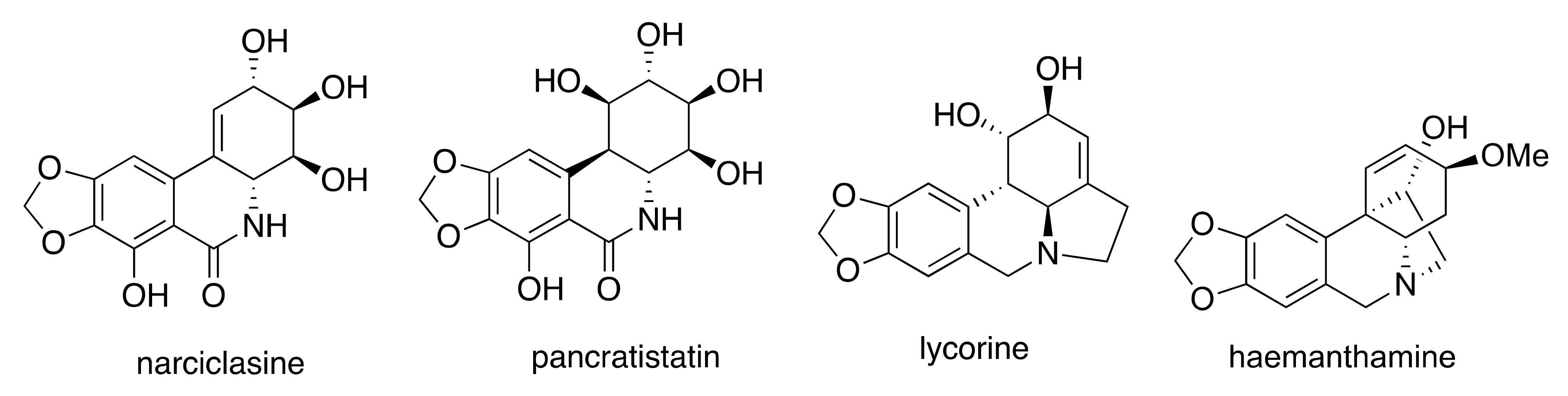 Amaryllidaceae Alkaloids Decrease the Proliferation