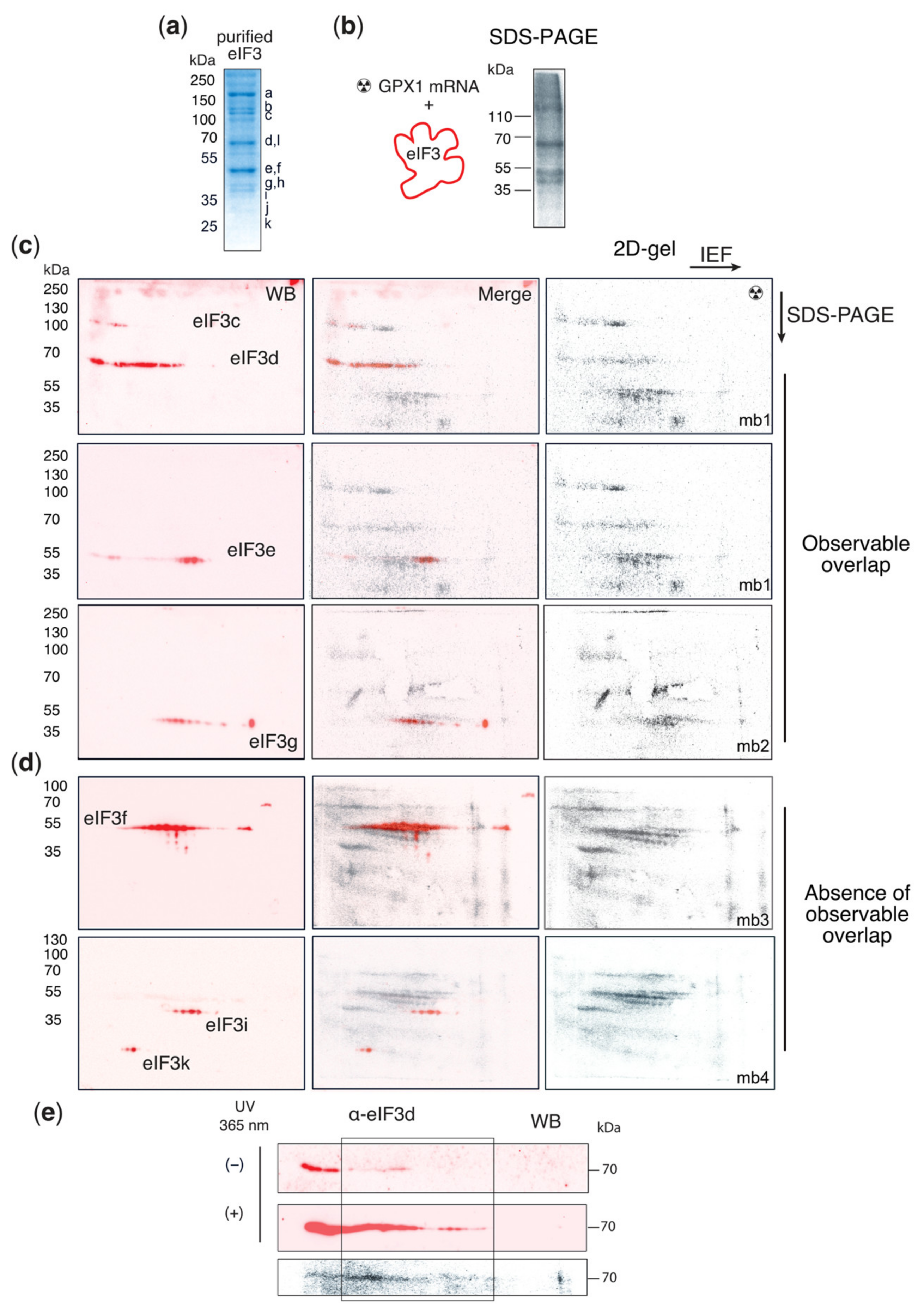 Biomolecules 12 01268 g002