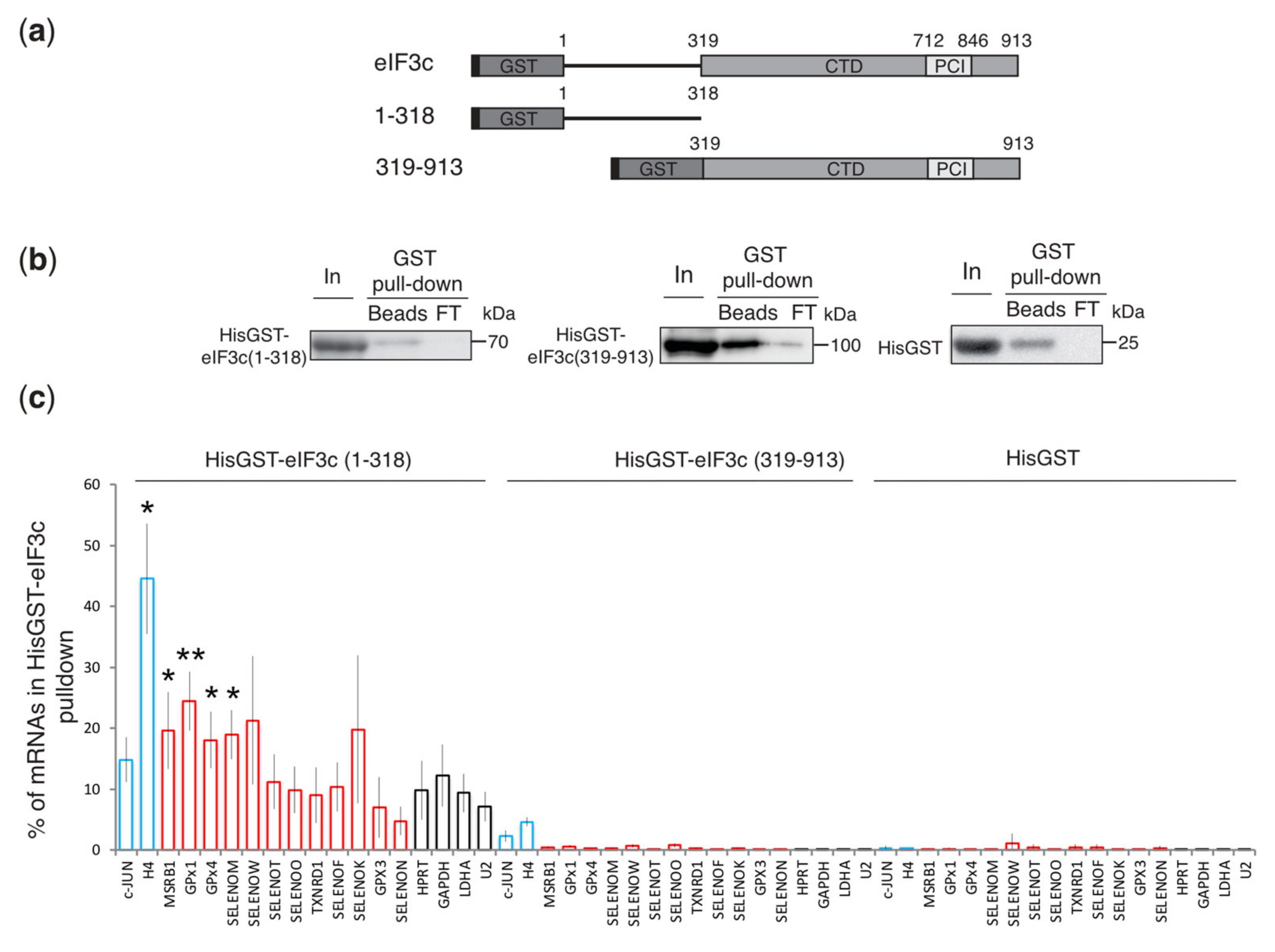 Biomolecules 12 01268 g003