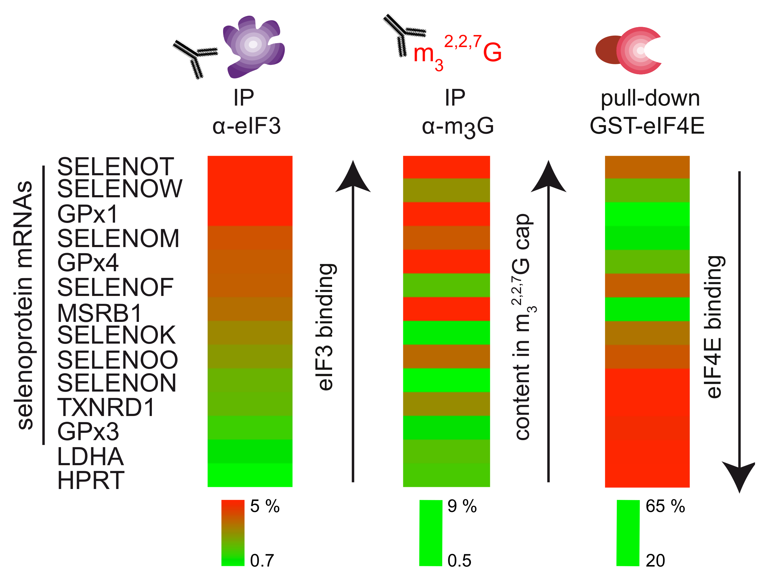 Biomolecules 12 01268 g005