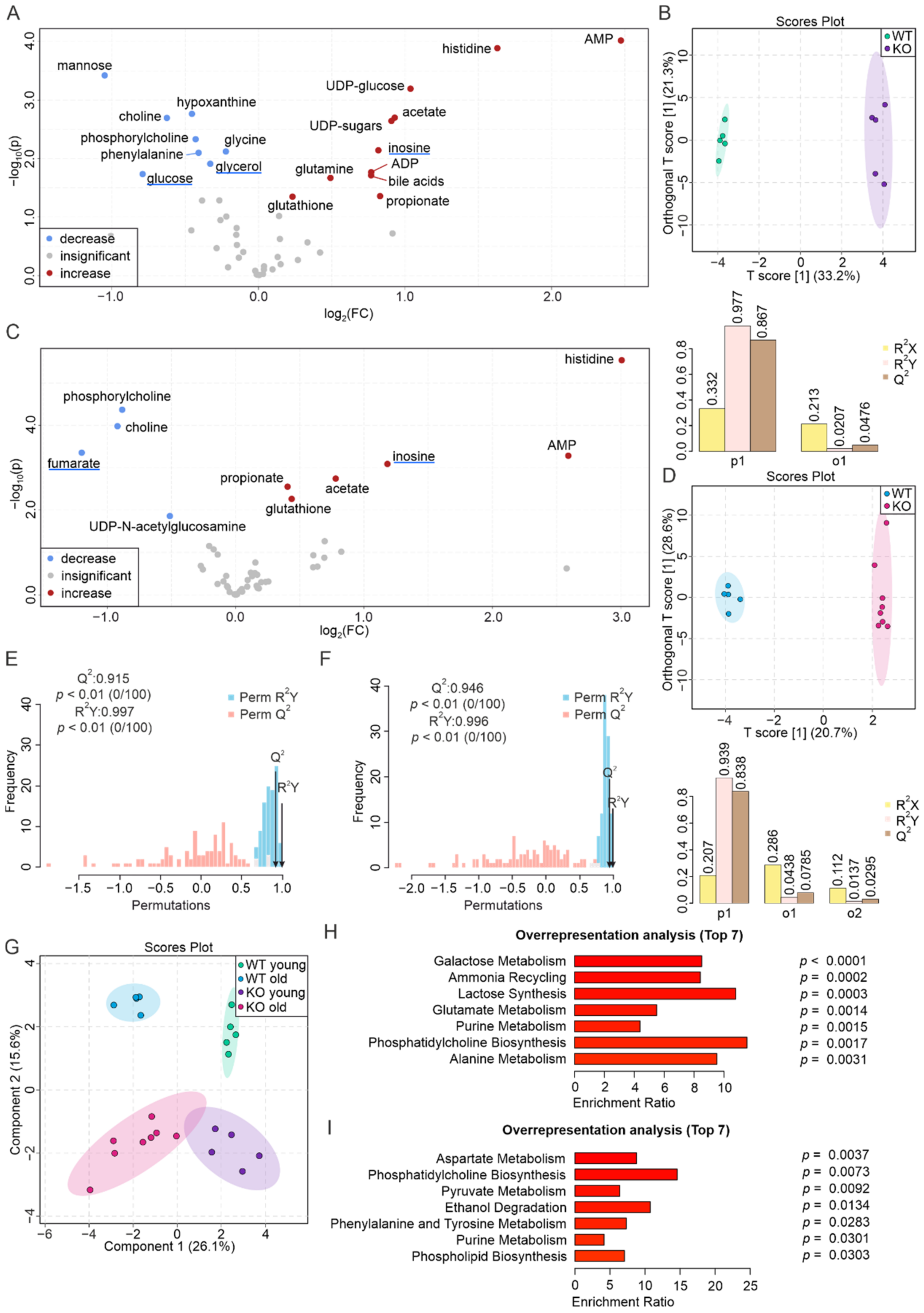 Biomolecules 12 01270 g001