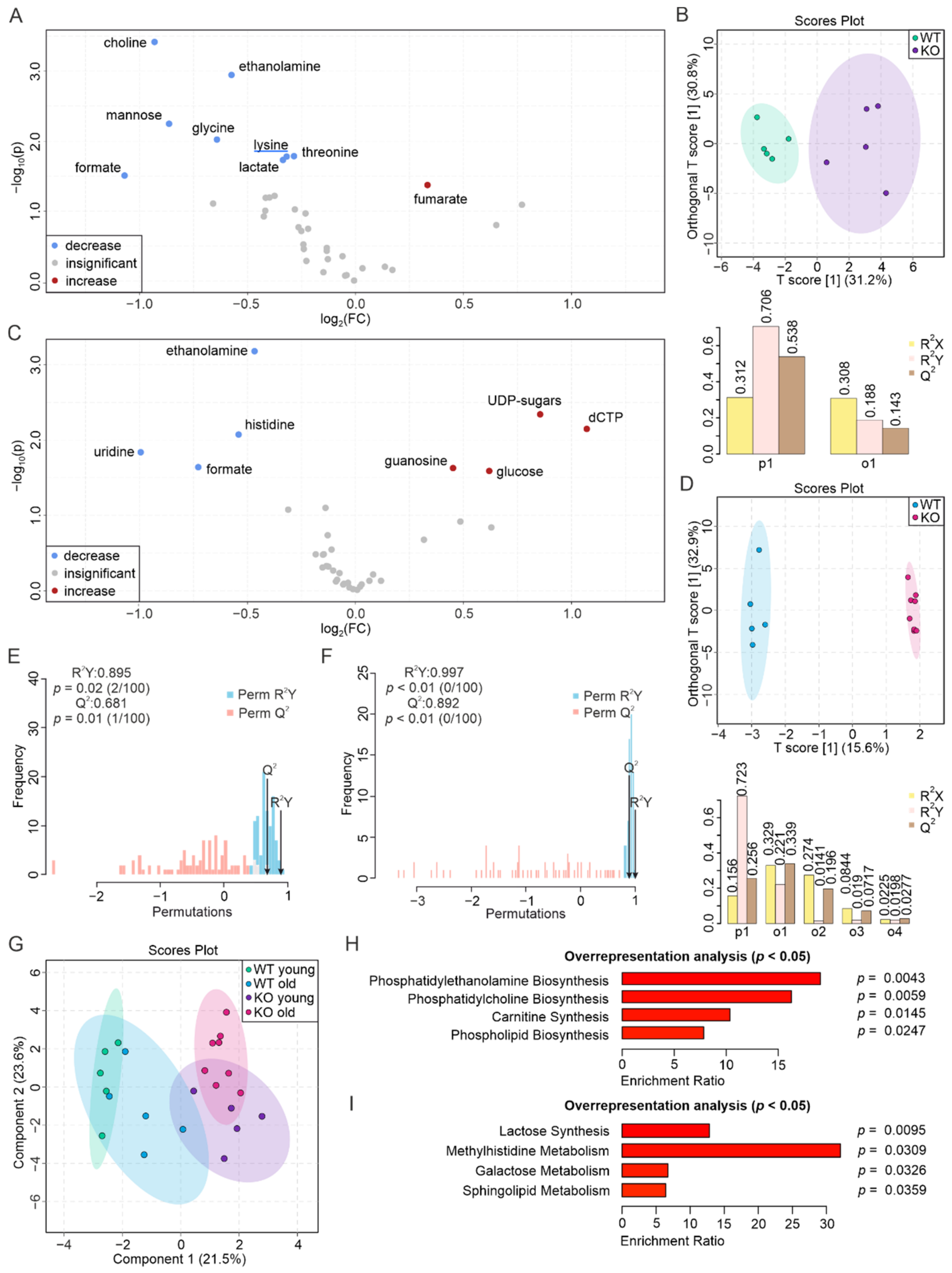 Biomolecules 12 01270 g006