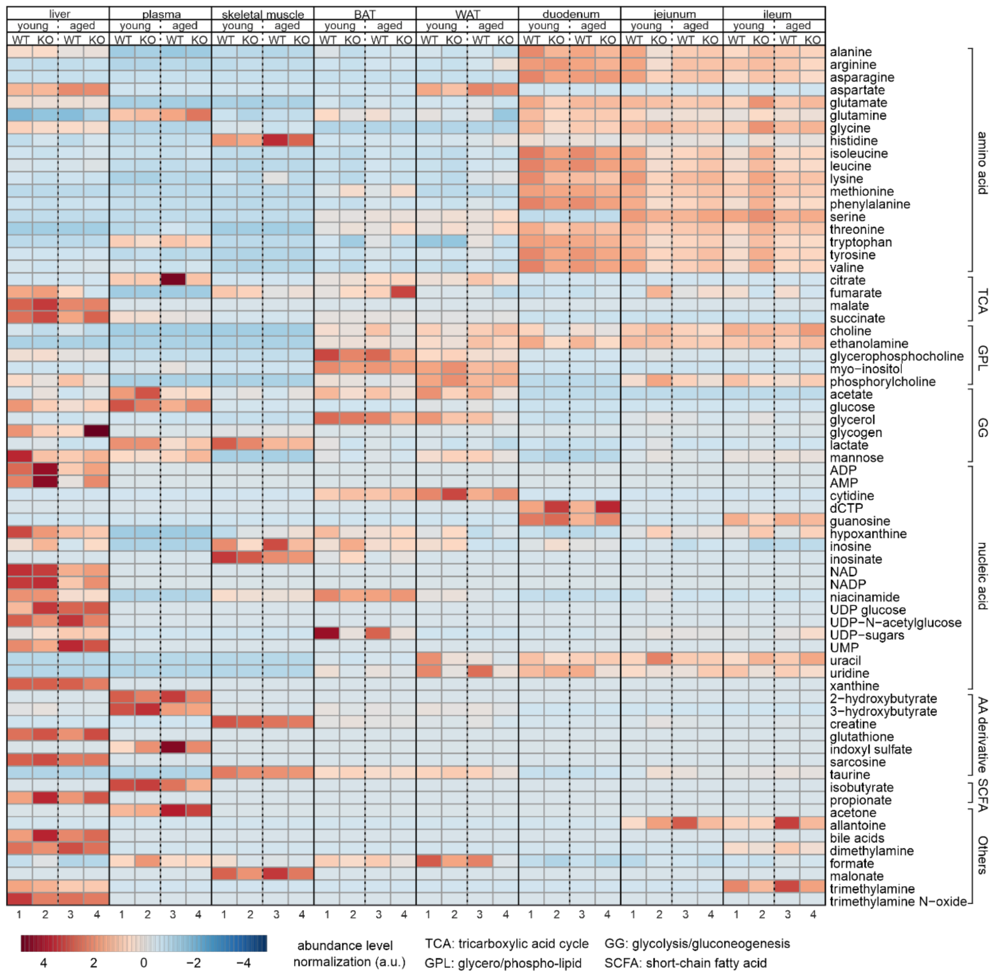 Biomolecules 12 01270 g009
