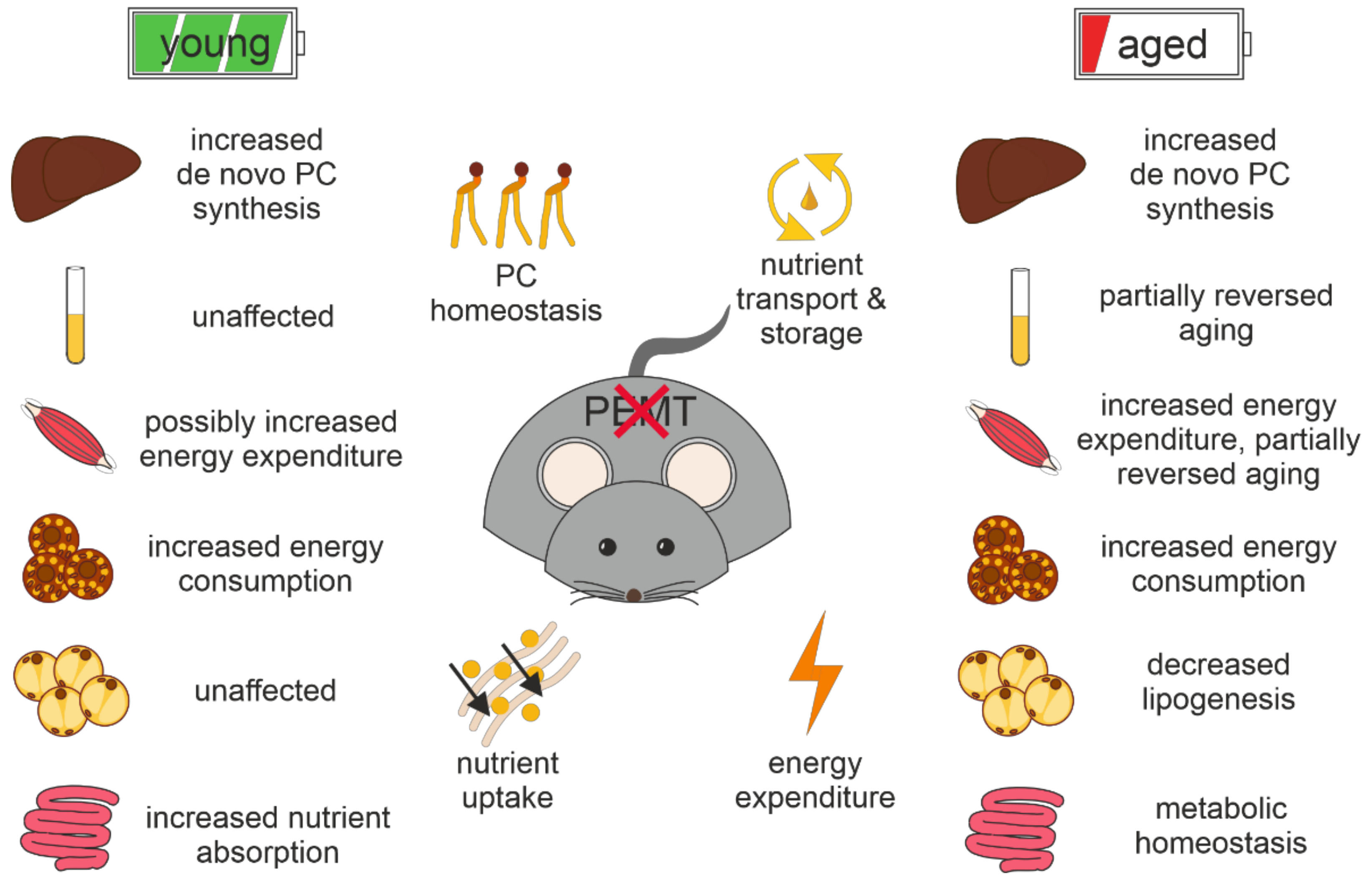 Biomolecules 12 01270 g010