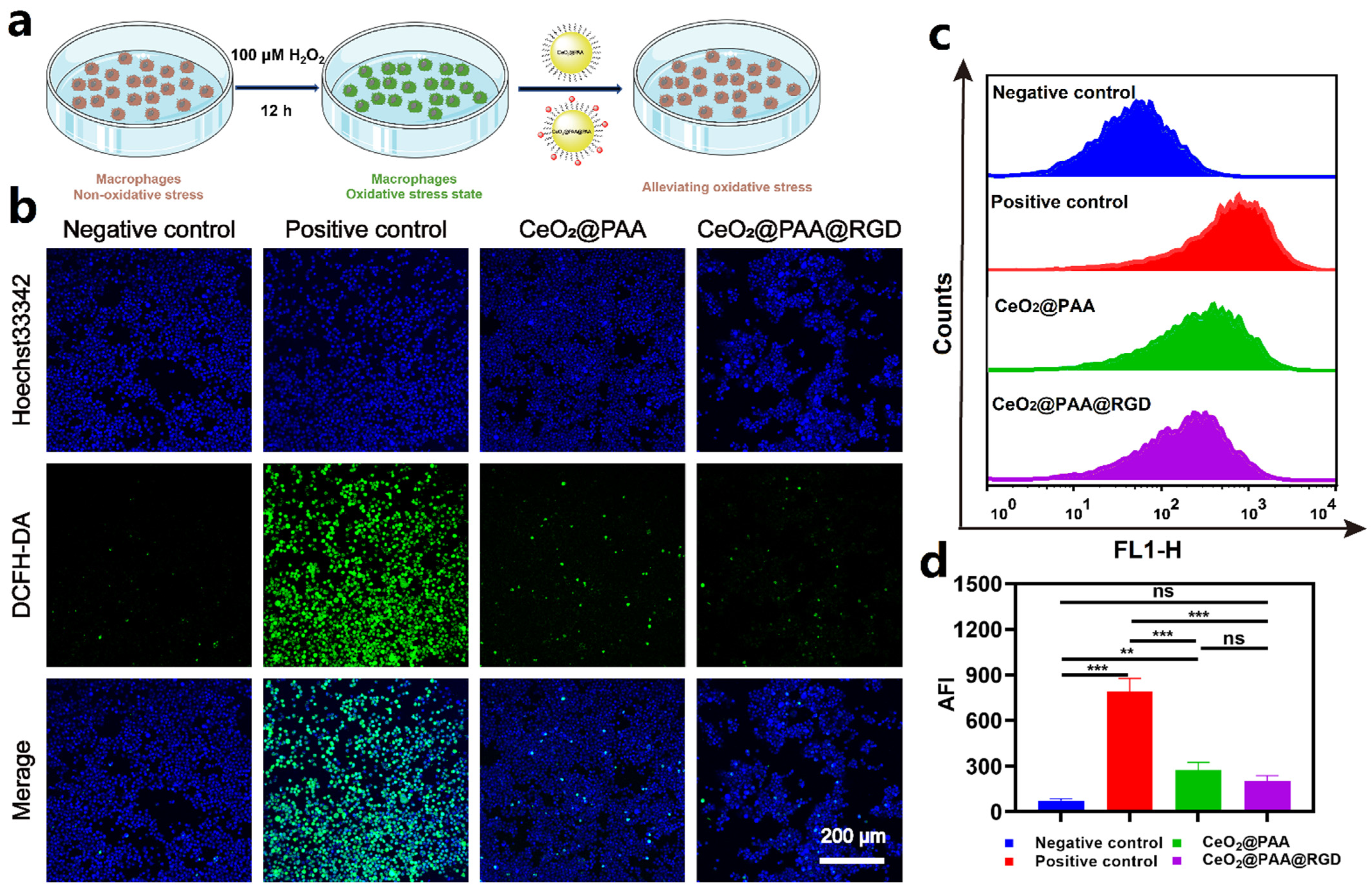 Biomolecules 12 01277 g003