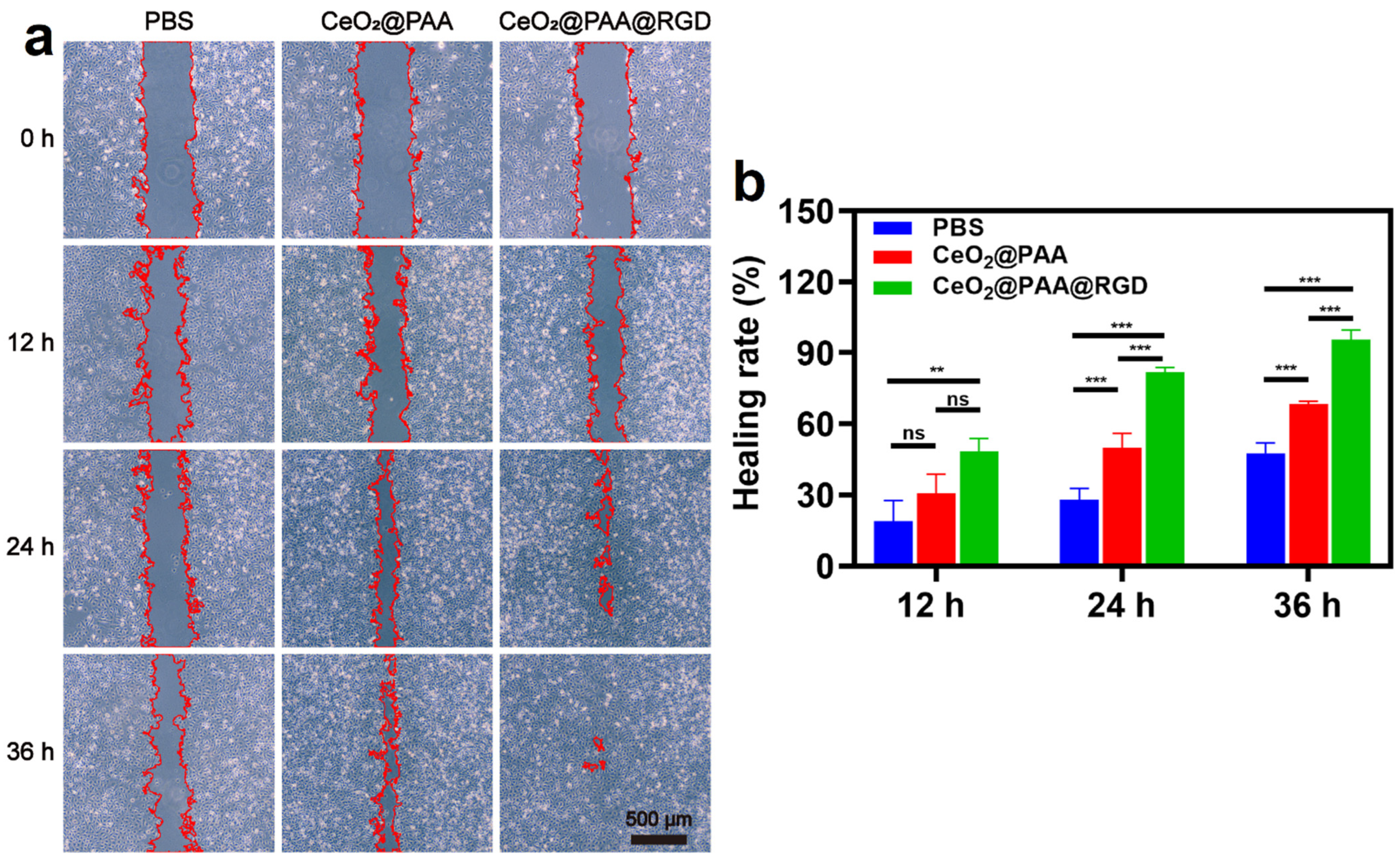 Biomolecules 12 01277 g006