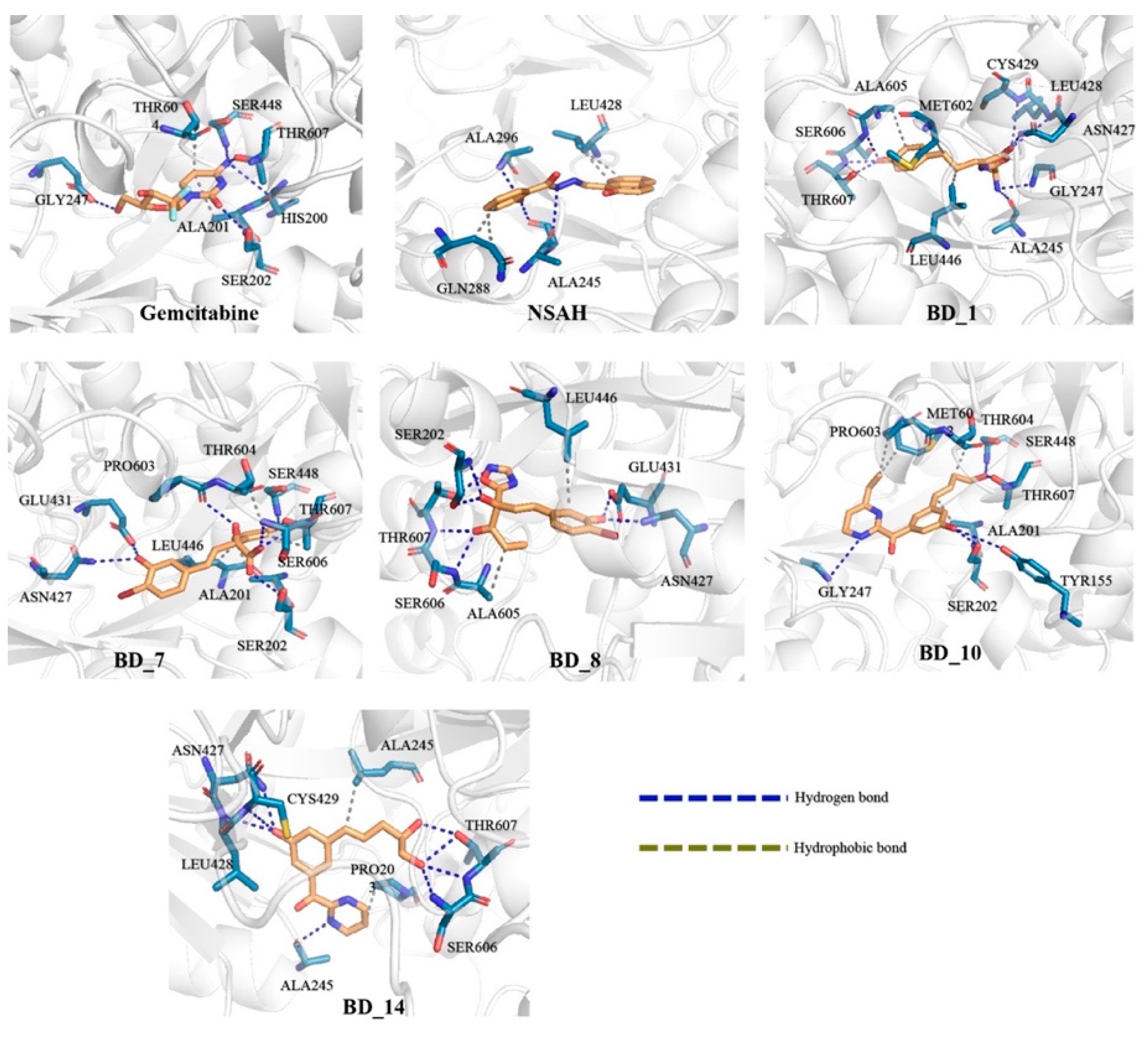 Biomolecules 12 01279 g004