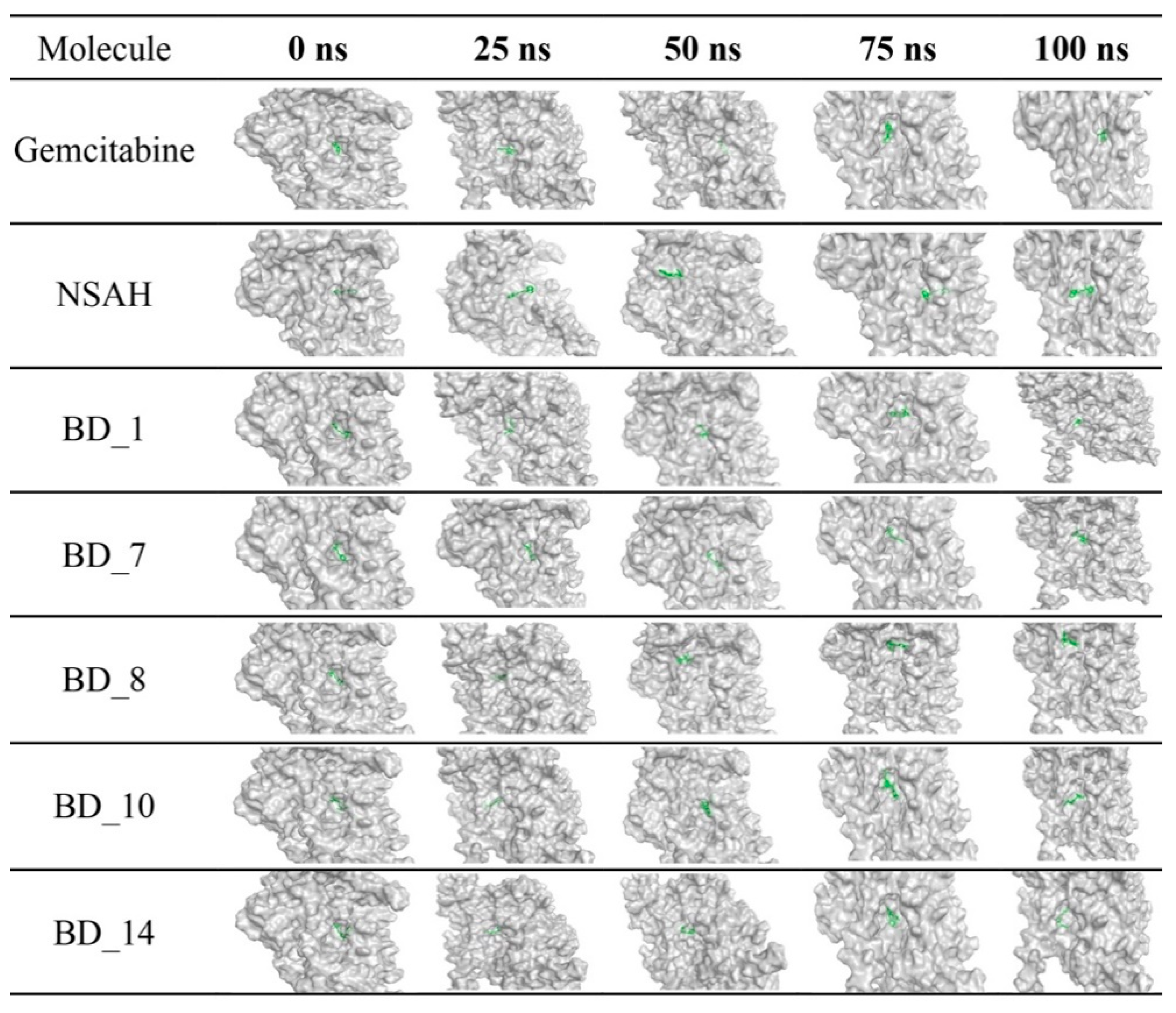 Biomolecules 12 01279 g013