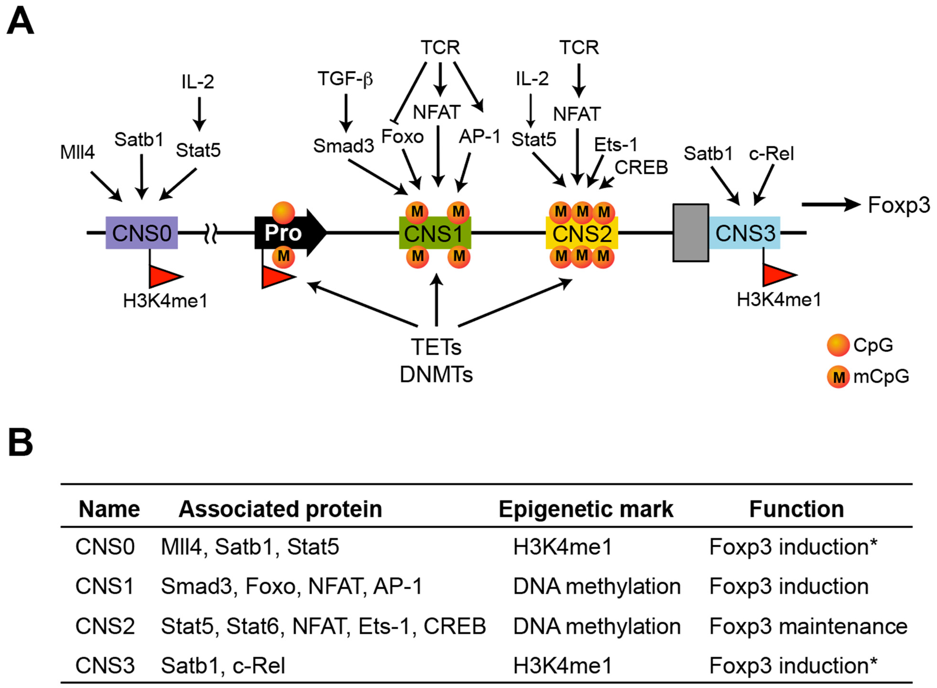 Biomolecules 12 01282 g001