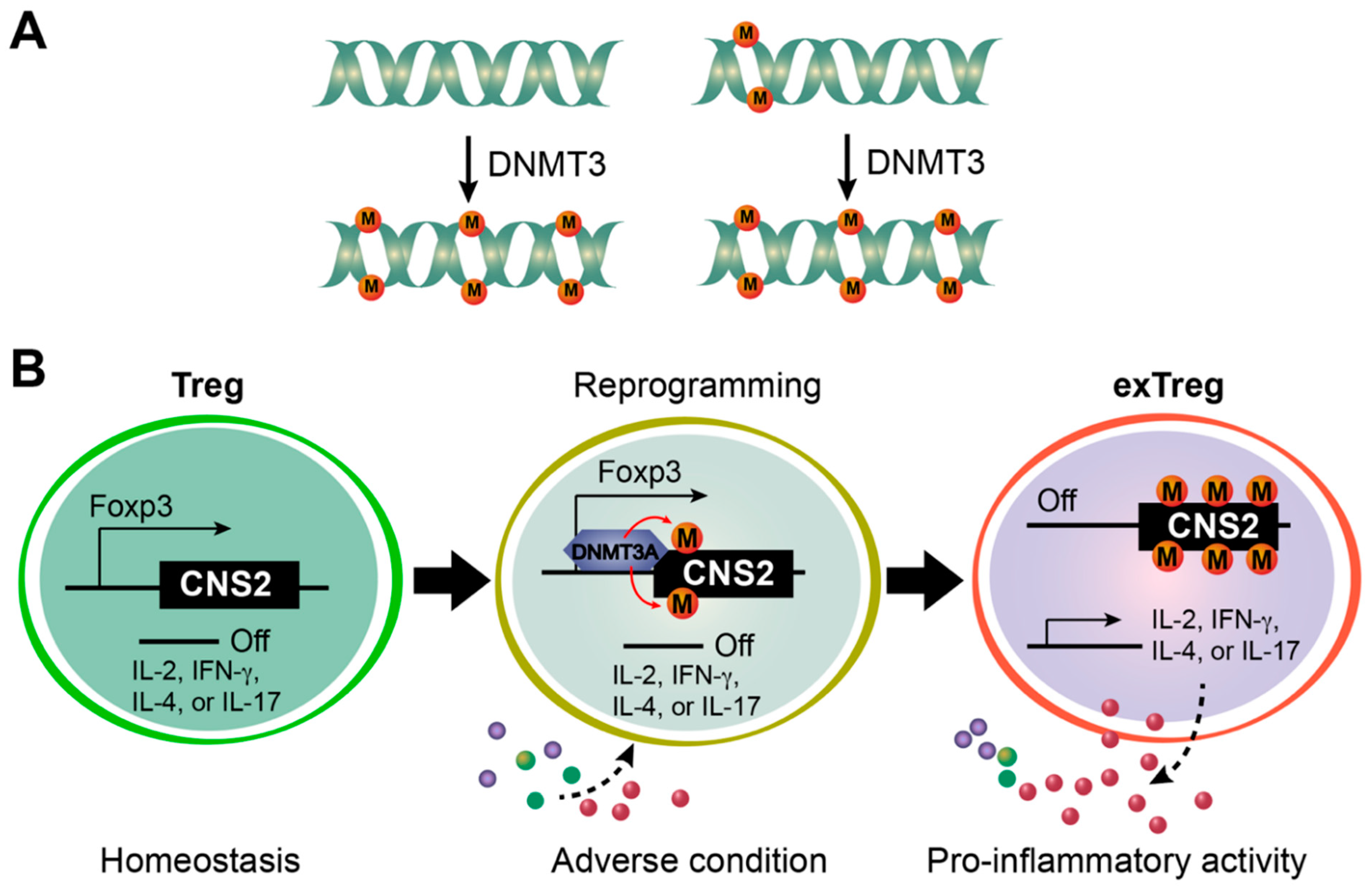 Biomolecules 12 01282 g003