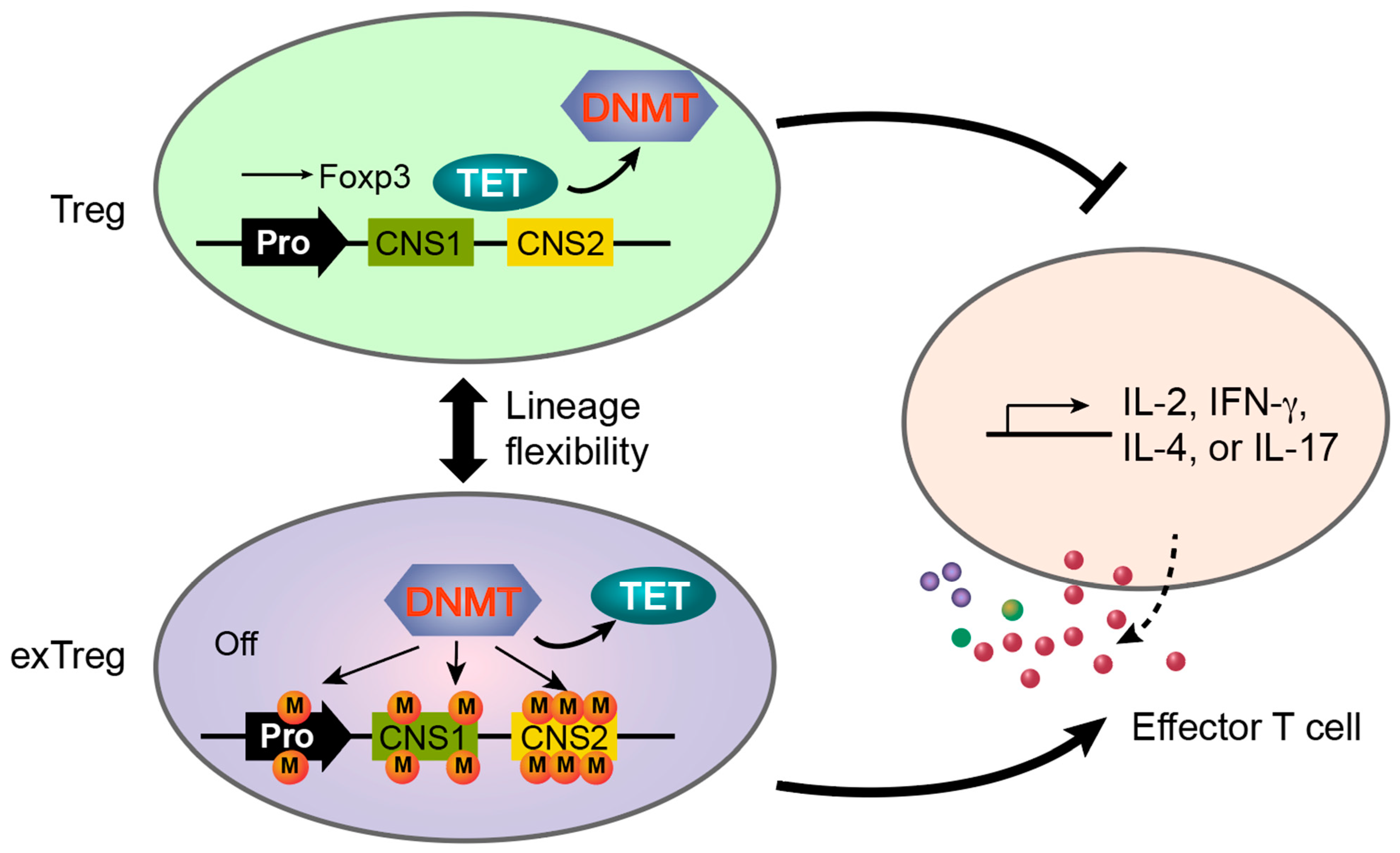 Biomolecules 12 01282 g005