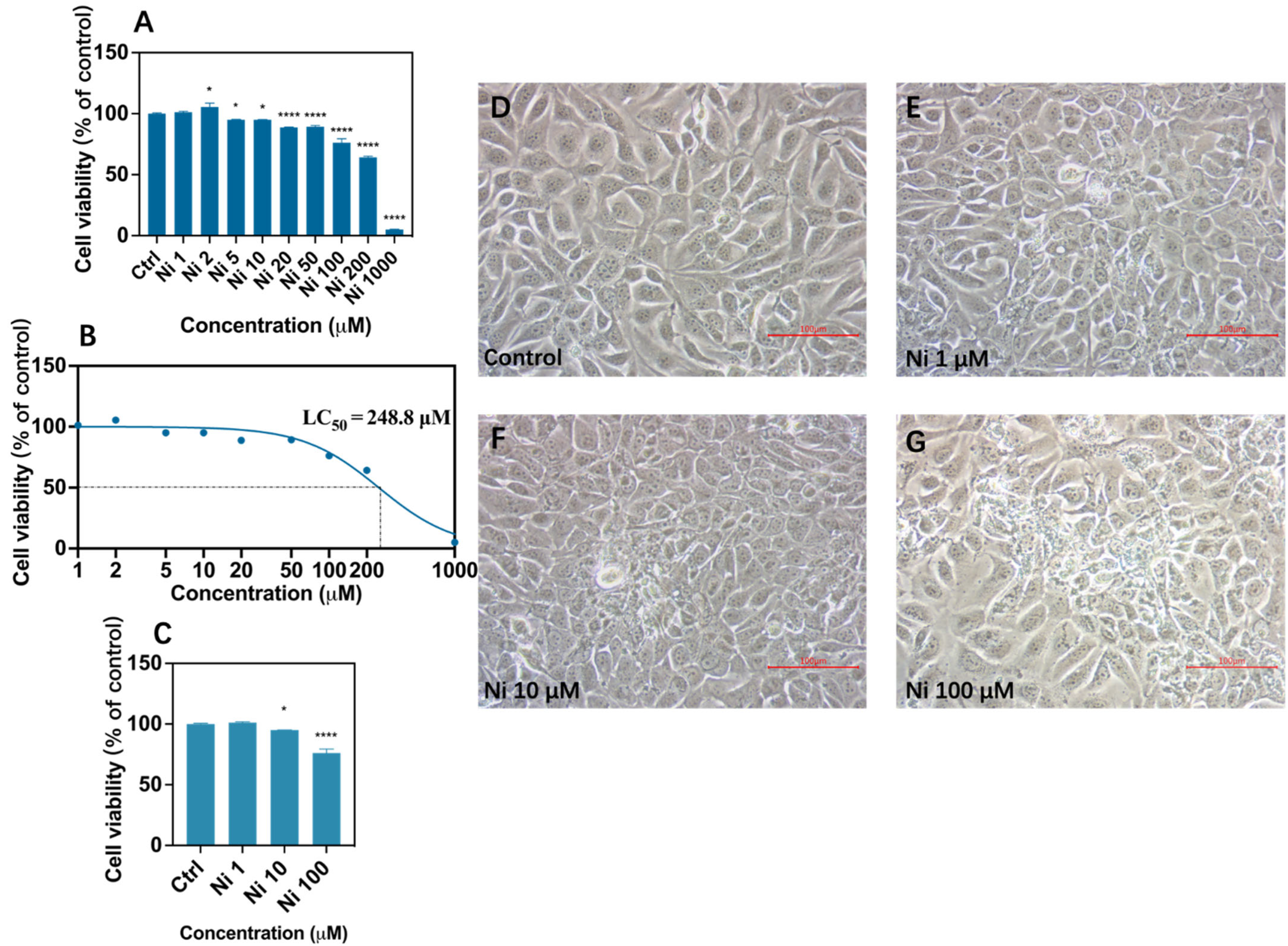 Biomolecules 12 01283 g001