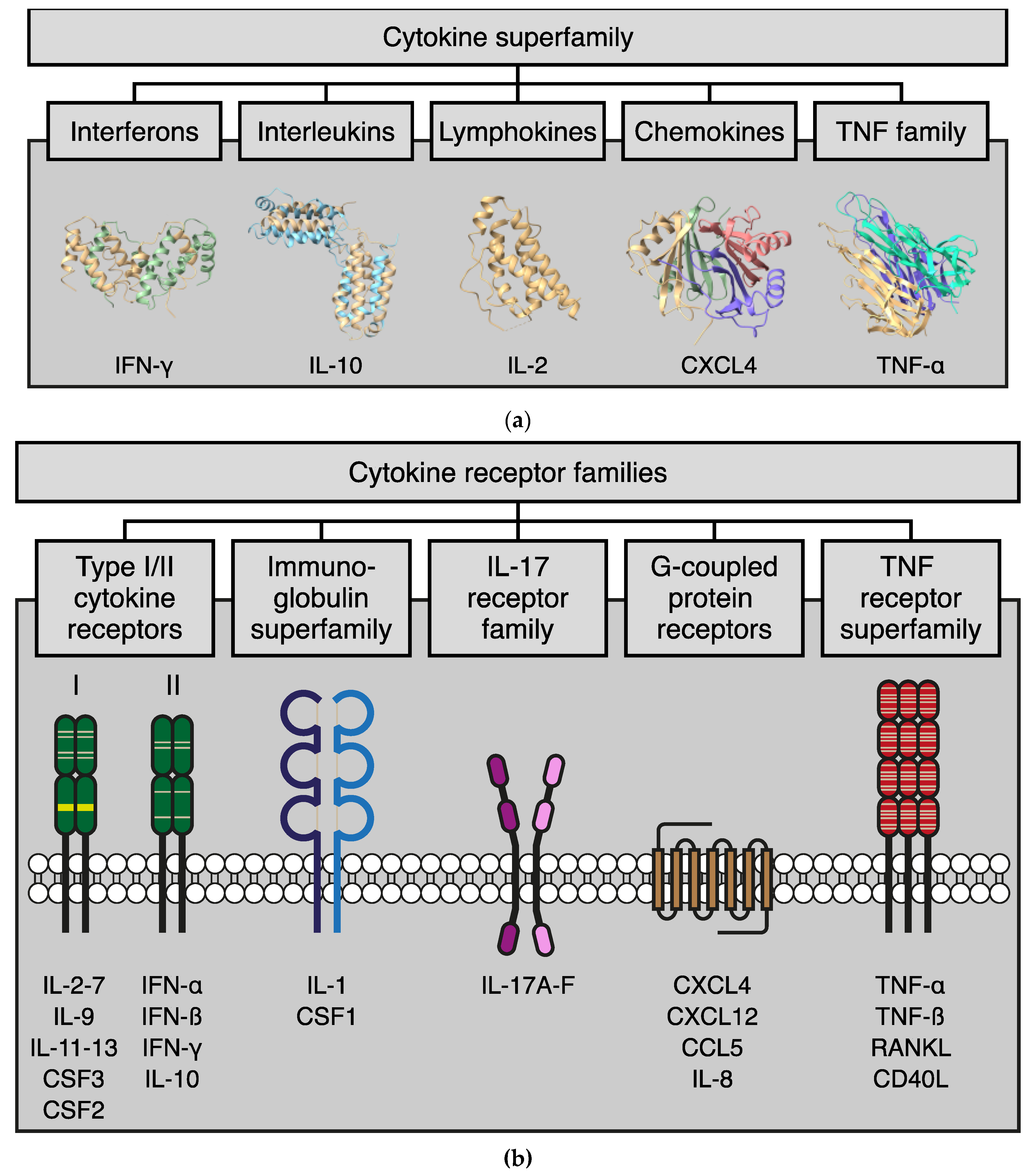 Biomolecules 12 01286 g001 Biomolecules 12 01286 g001