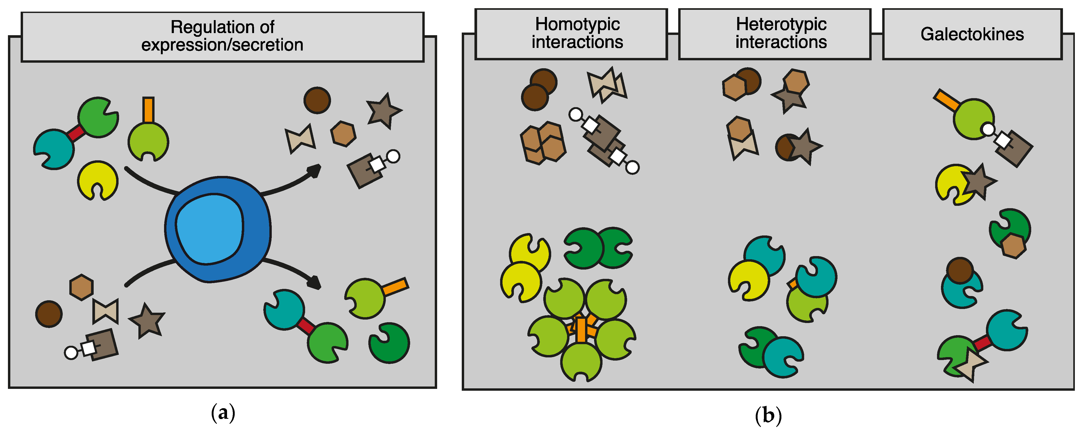 Biomolecules 12 01286 g003a Biomolecules 12 01286 g003a