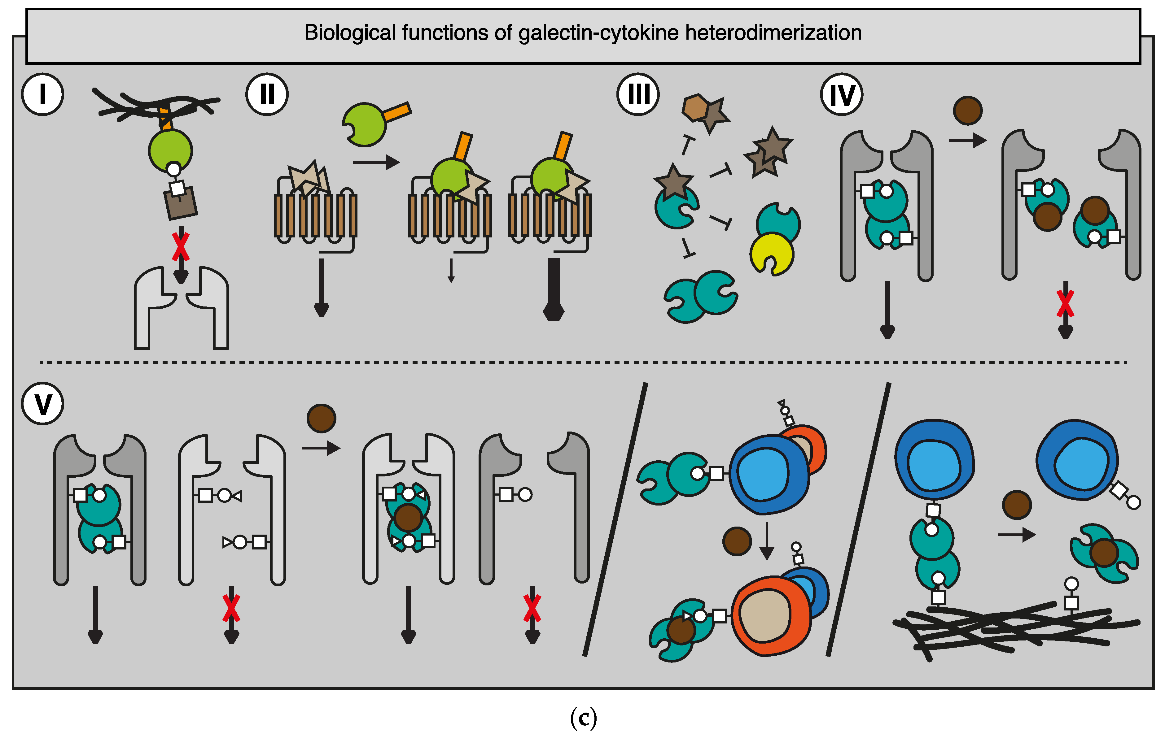 Biomolecules 12 01286 g003b Biomolecules 12 01286 g003b