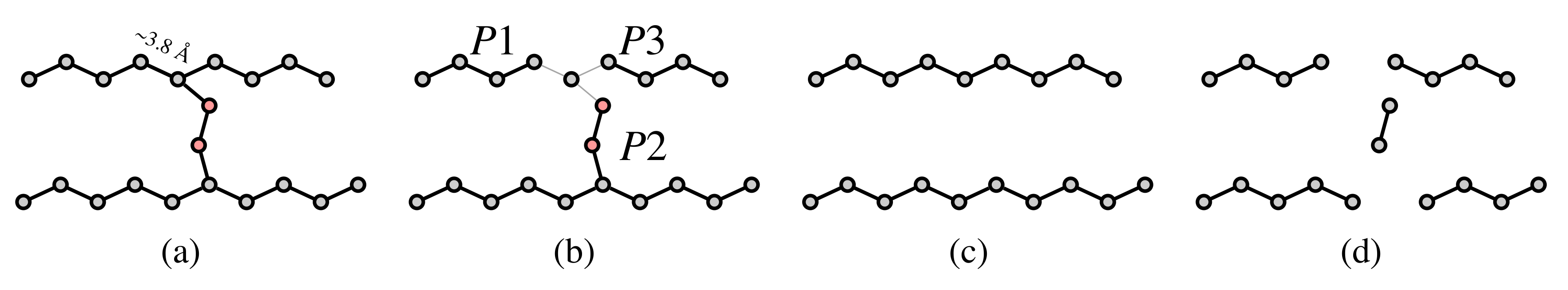 Biomolecules 12 01290 g001