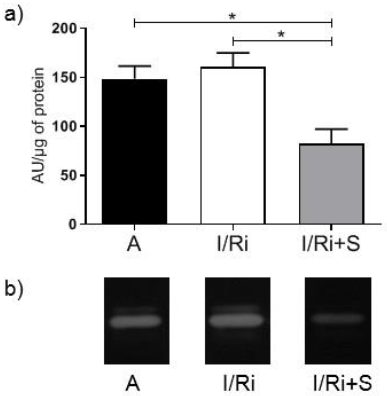 Biomolecules 12 01291 g002 550
