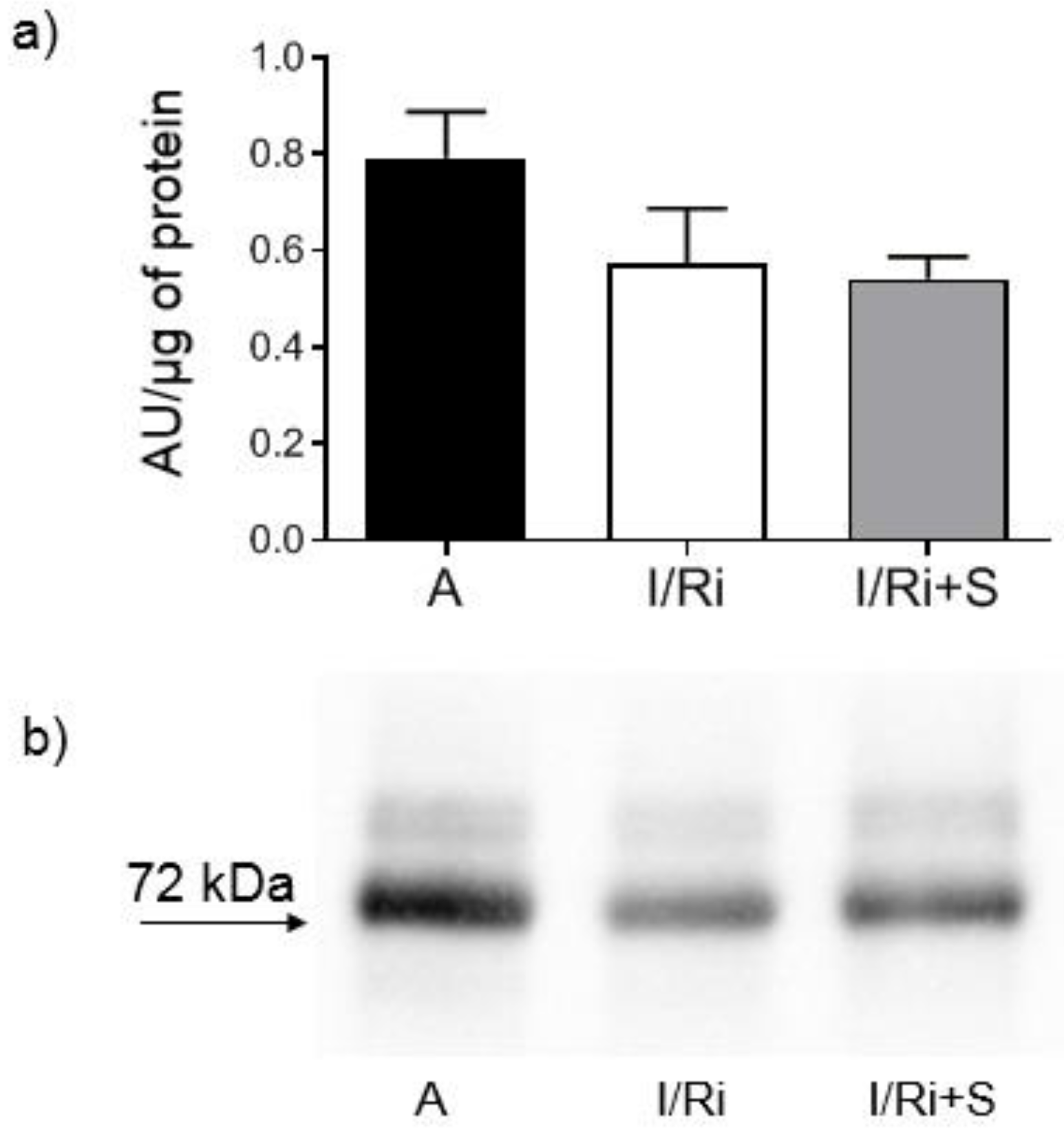 Biomolecules 12 01291 g003 550