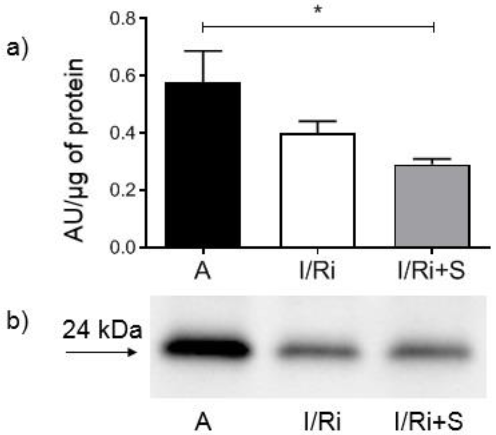 Biomolecules 12 01291 g006 550