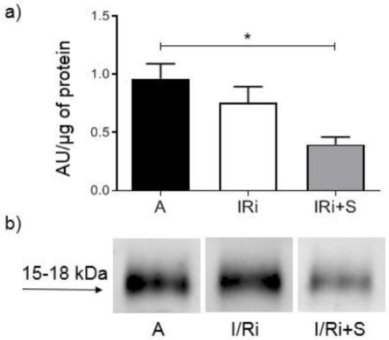 Biomolecules 12 01291 g007 550