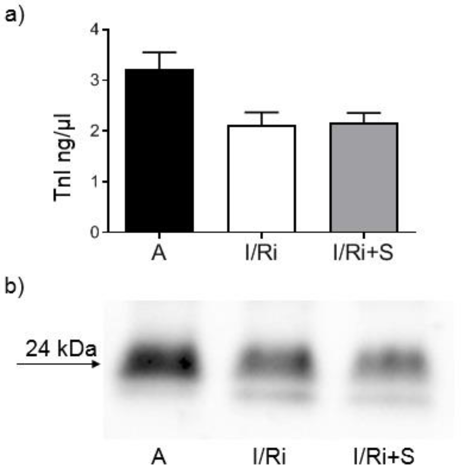 Biomolecules 12 01291 g008 550