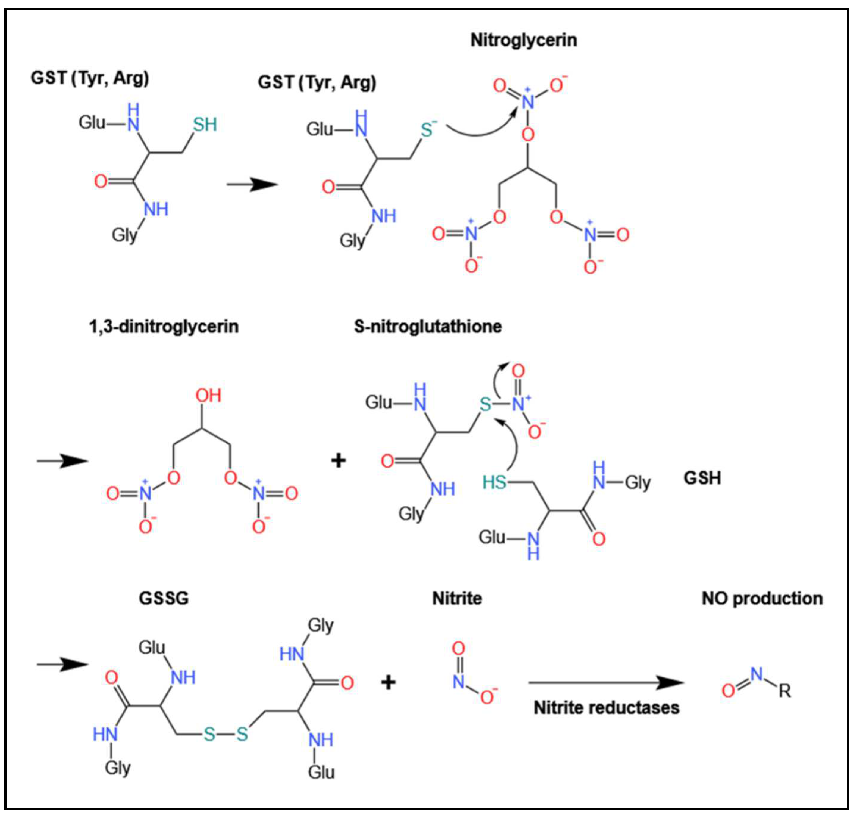Biomolecules 12 01292 g003