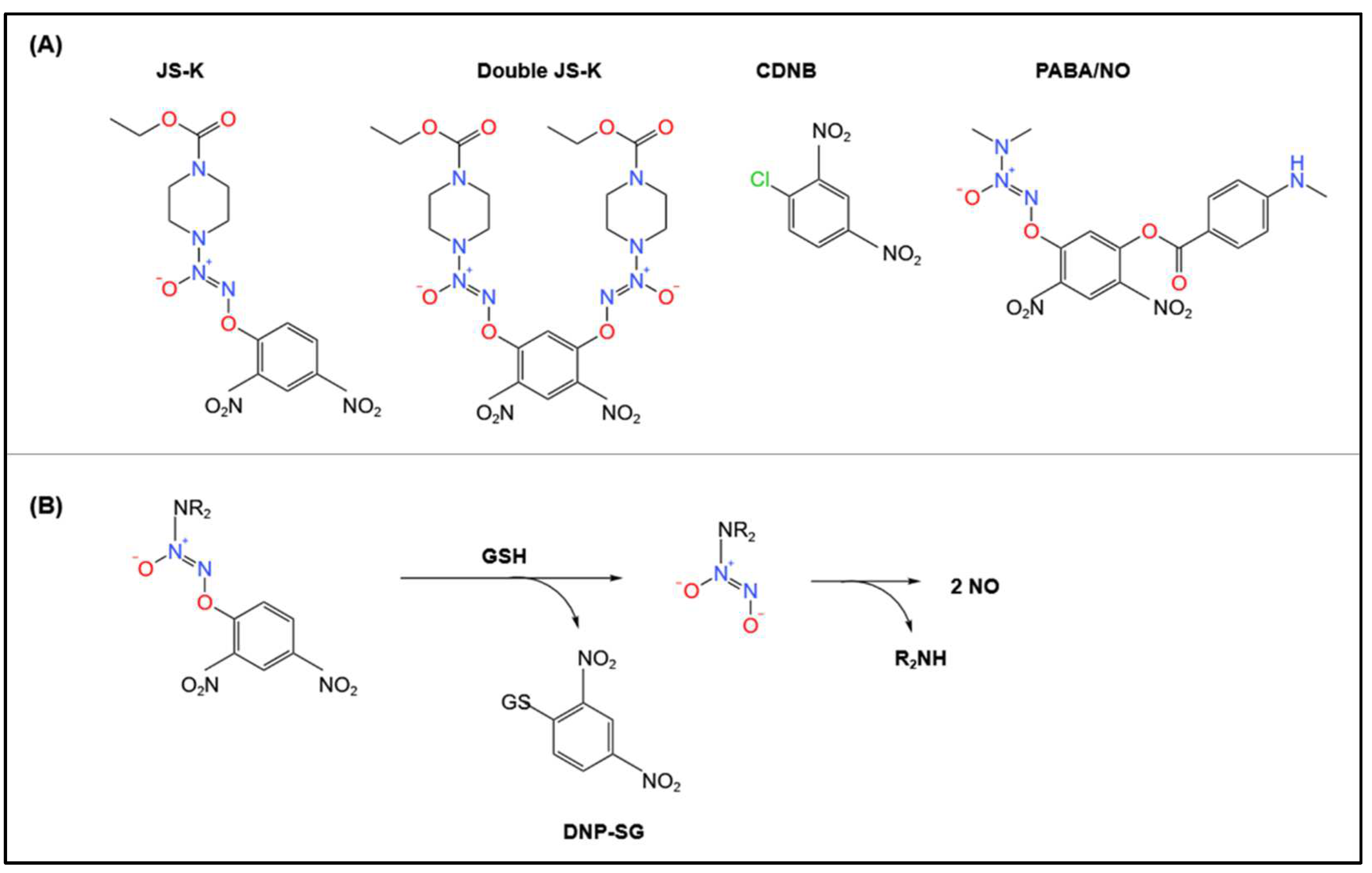 Biomolecules 12 01292 g004