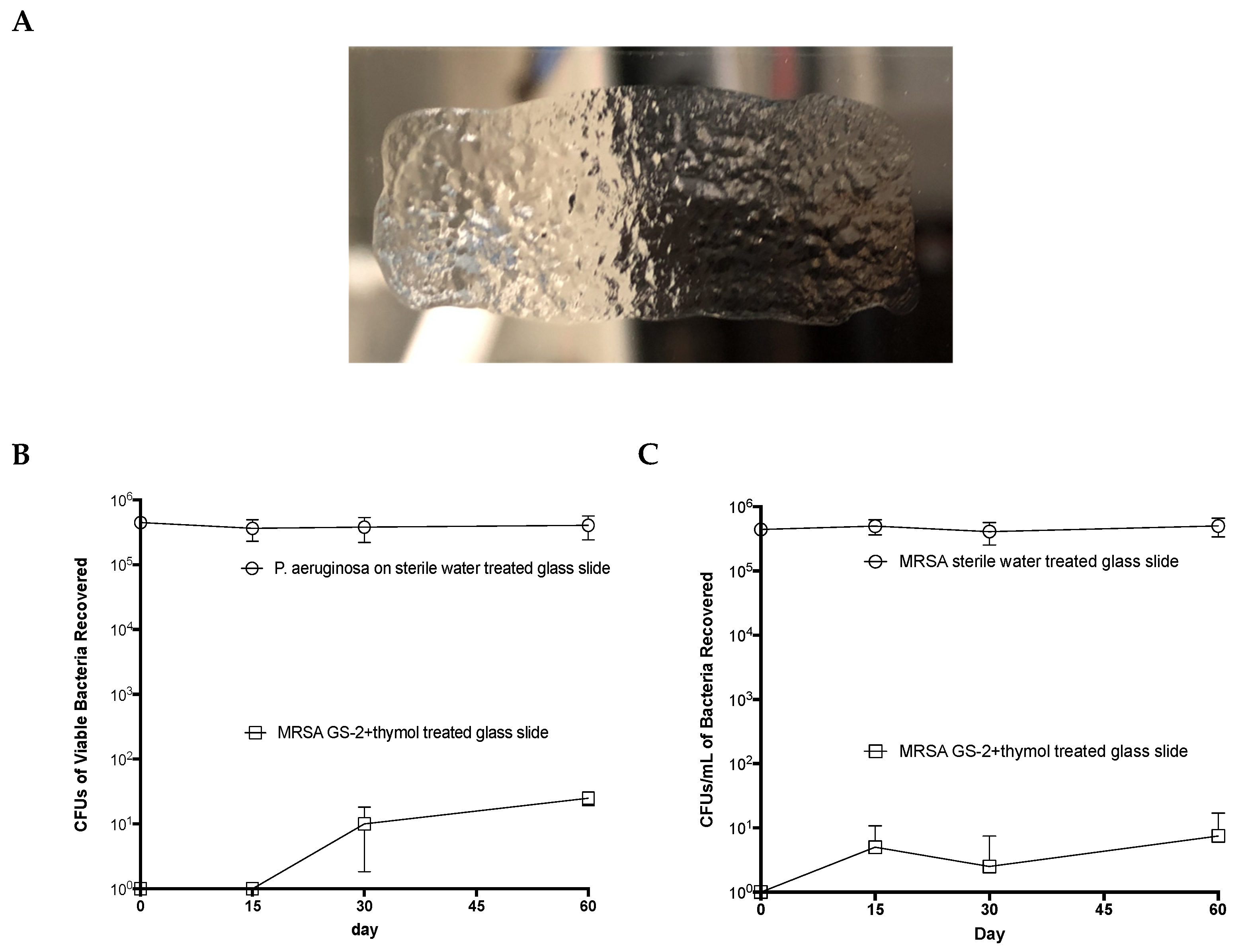 Biomolecules 12 01293 g005 550