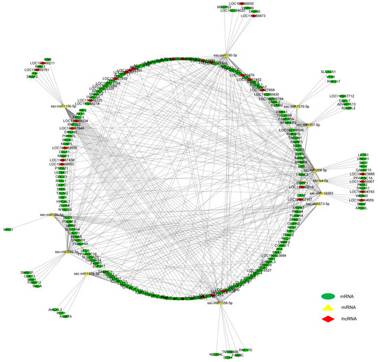 Comparative Transcriptomic Analysis of mRNAs, miRNAs and lncRNAs in the ...