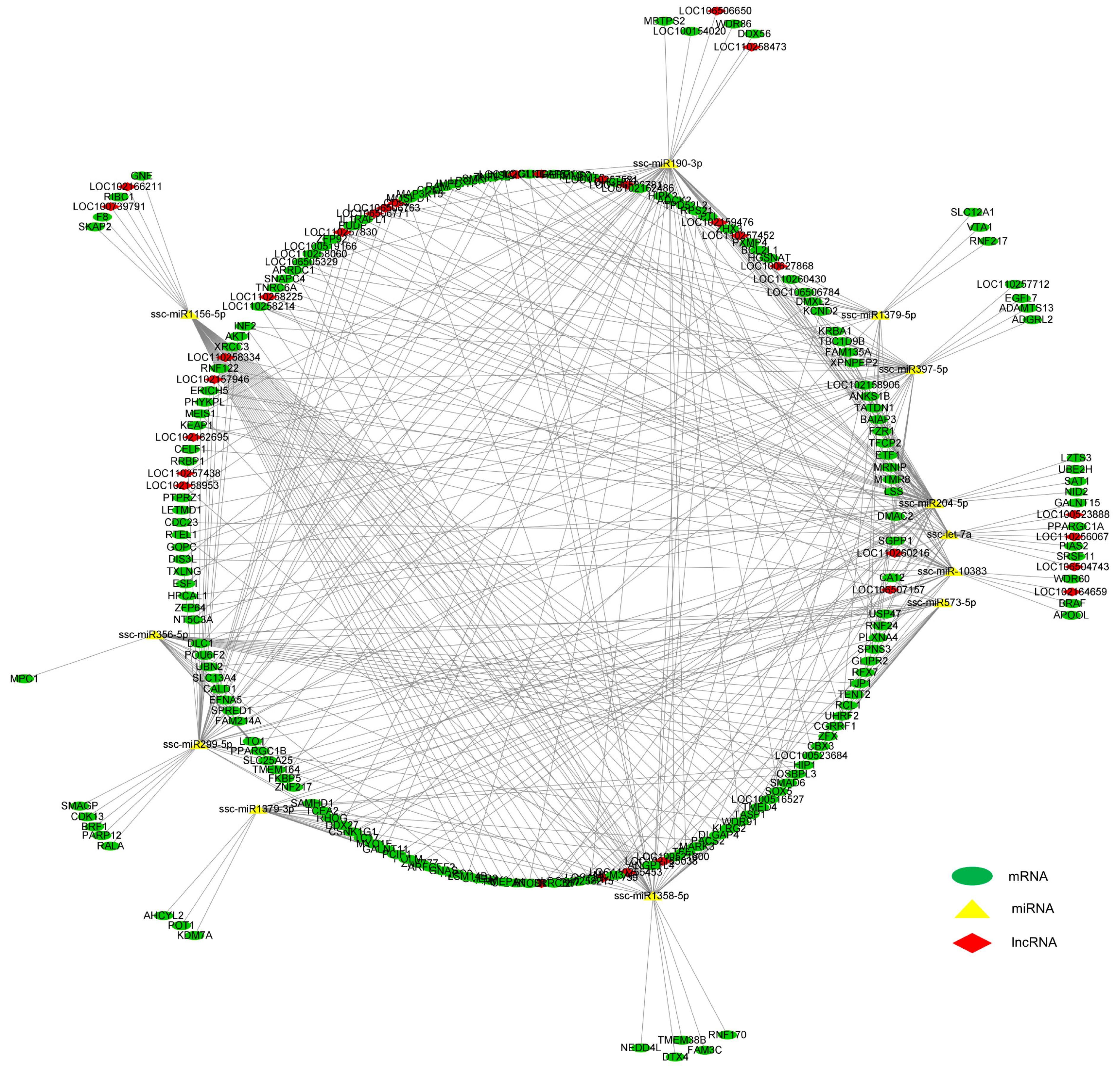 Biomolecules 12 01294 g007 Biomolecules 12 01294 g007